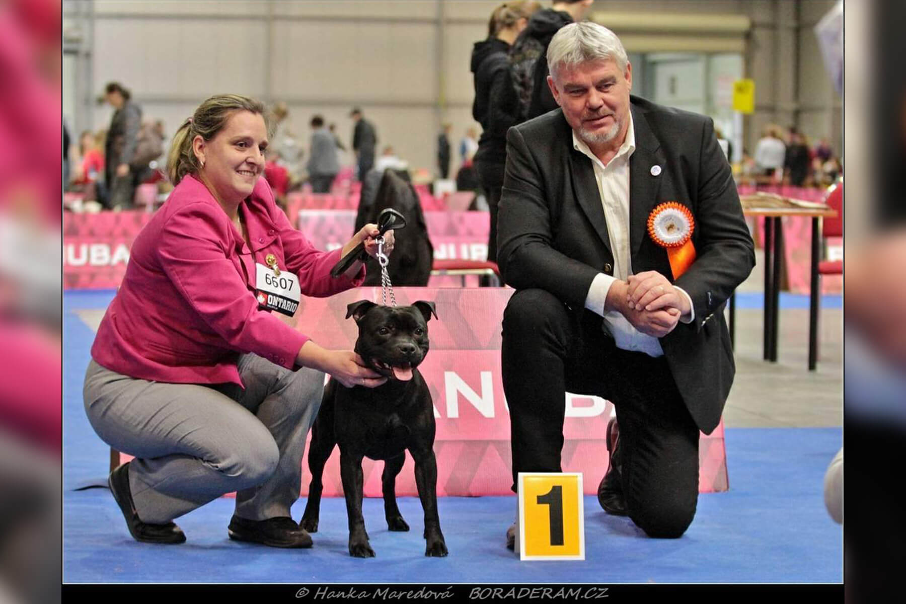 Shrnutí výstavní sezóny Domidar Dogs 2019