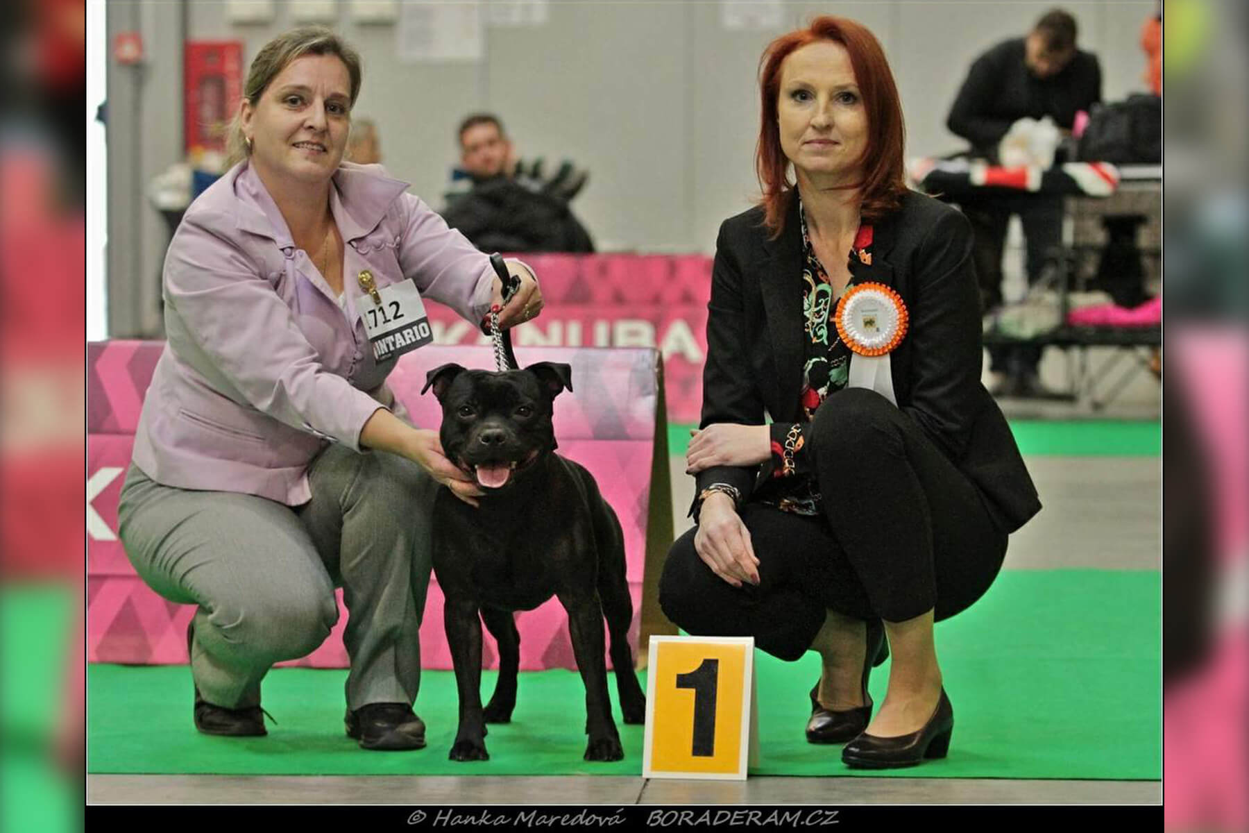 Shrnutí výstavní sezóny Domidar Dogs 2019