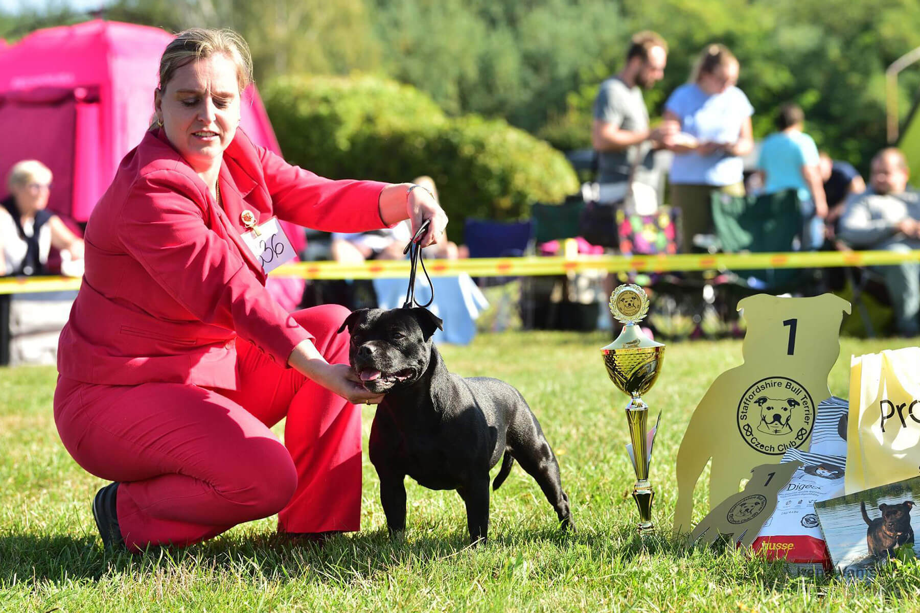 Shrnutí výstavní sezóny Domidar Dogs 2019