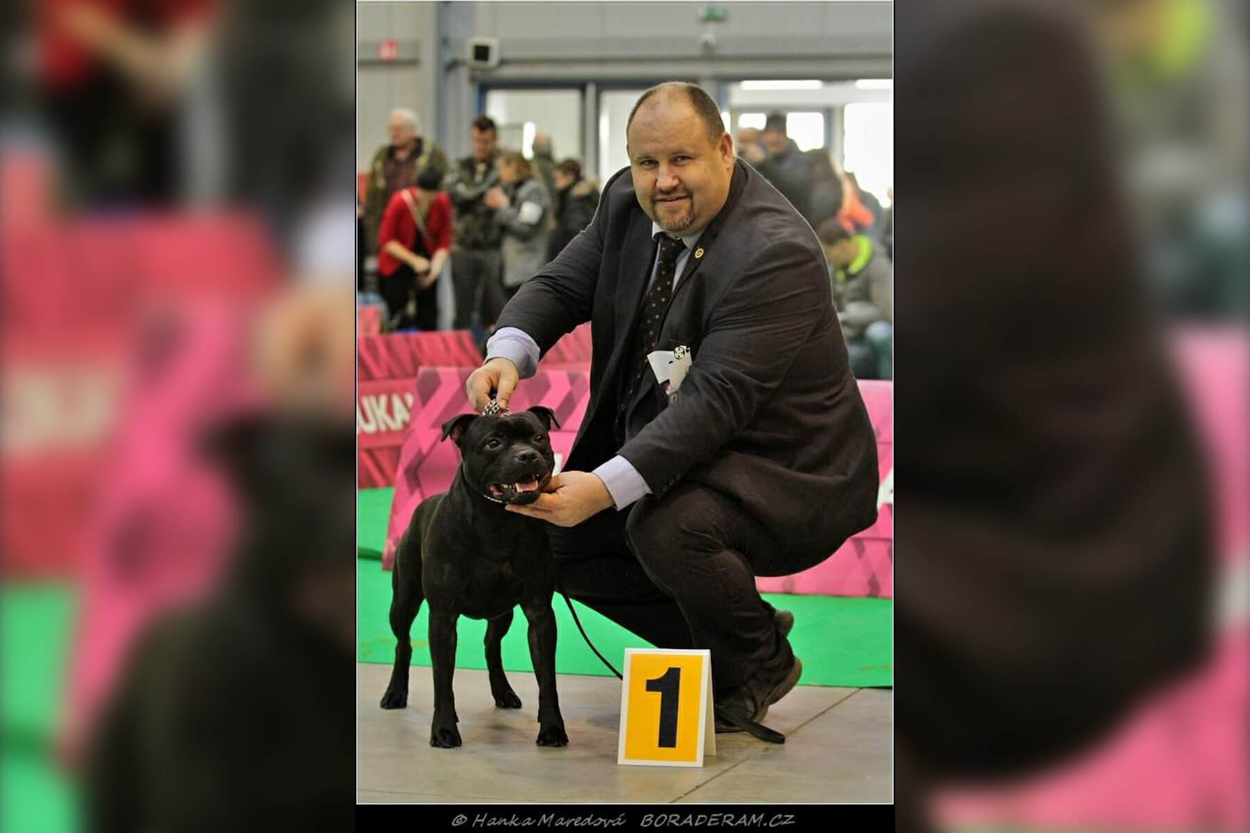 Shrnutí výstavní sezóny Domidar Dogs 2019