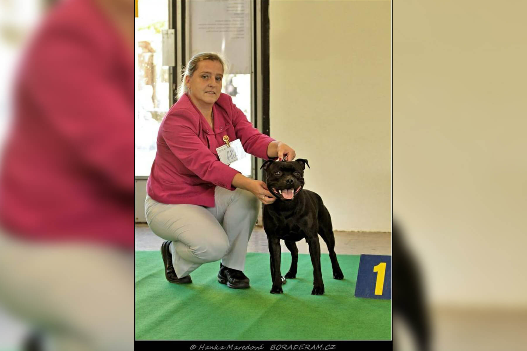 Shrnutí výstavní sezóny Domidar Dogs 2019