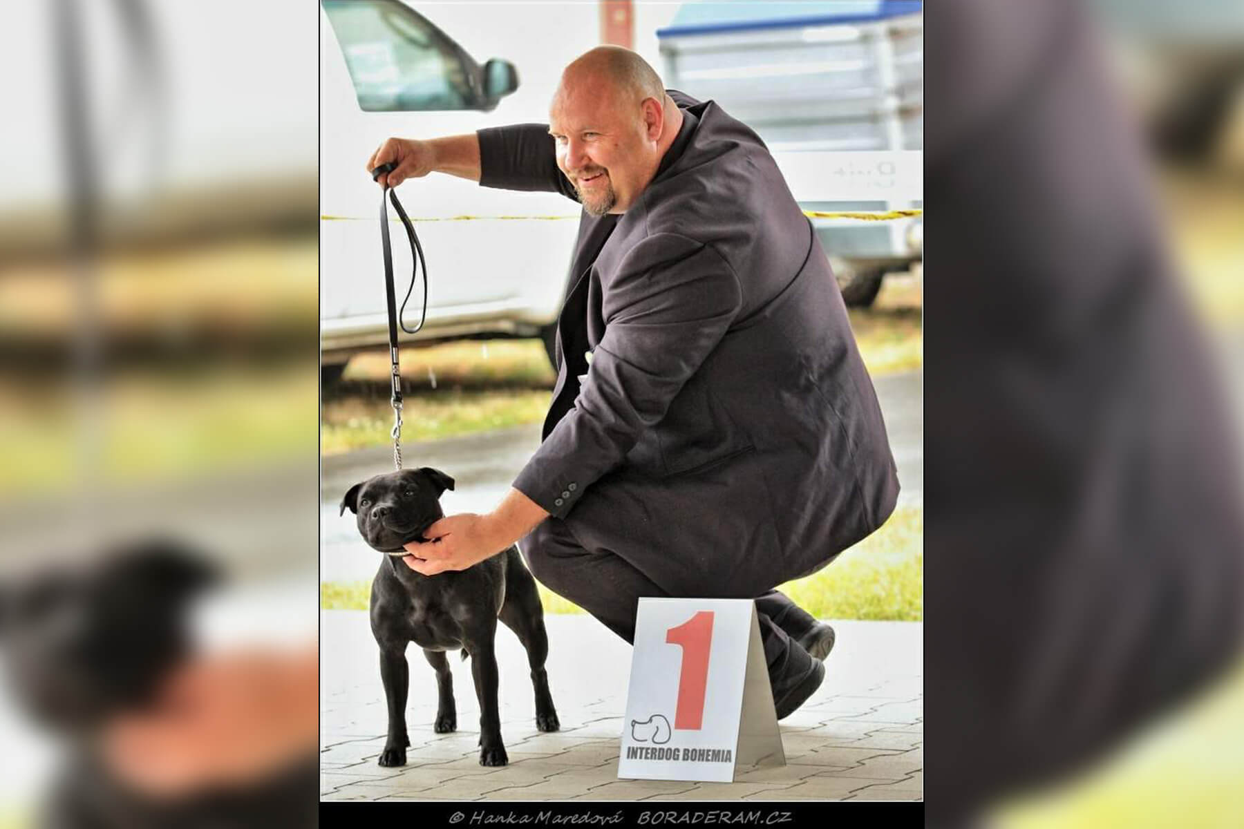 Shrnutí výstavní sezóny Domidar Dogs 2019