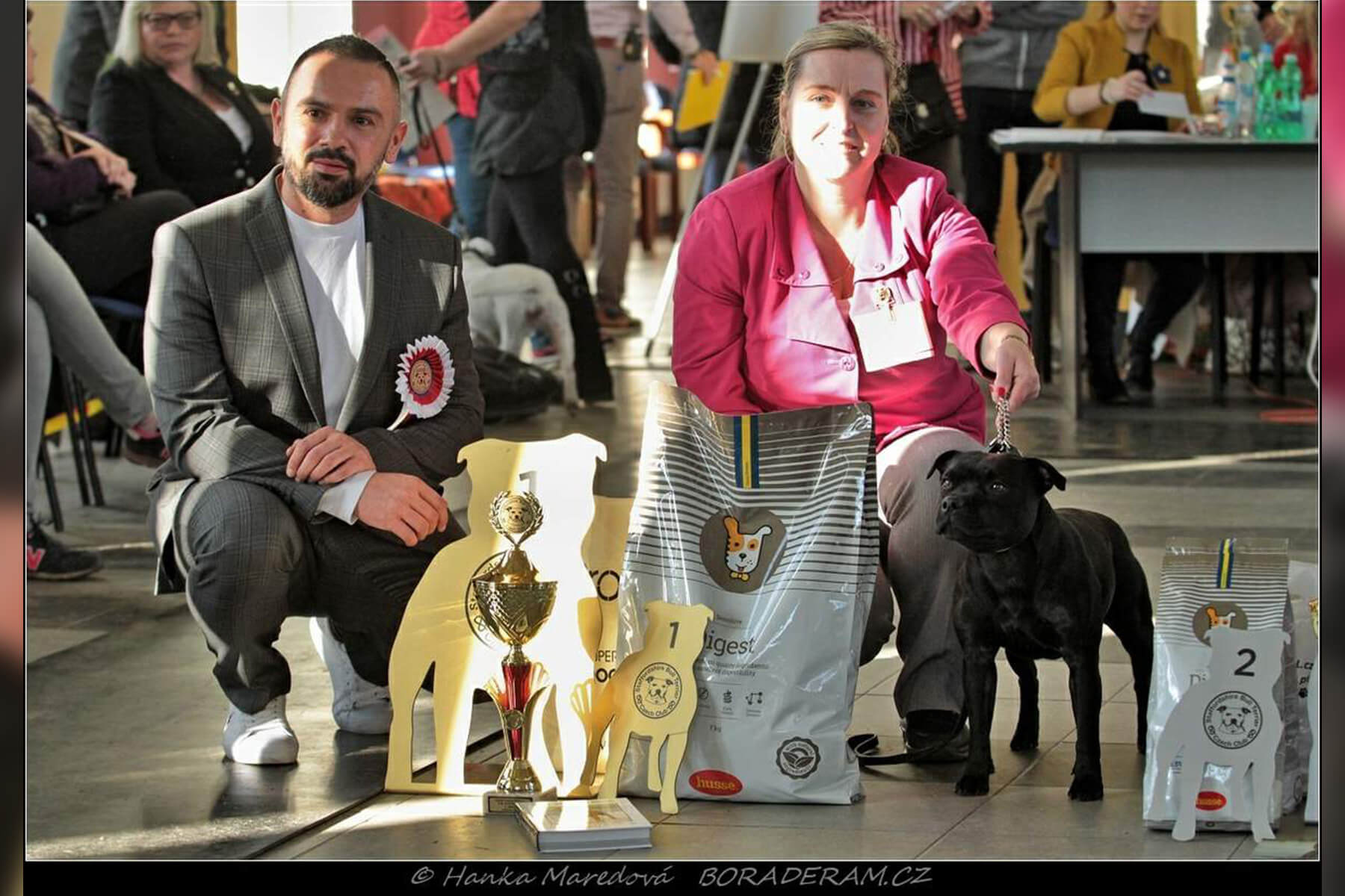 Shrnutí výstavní sezóny Domidar Dogs 2019