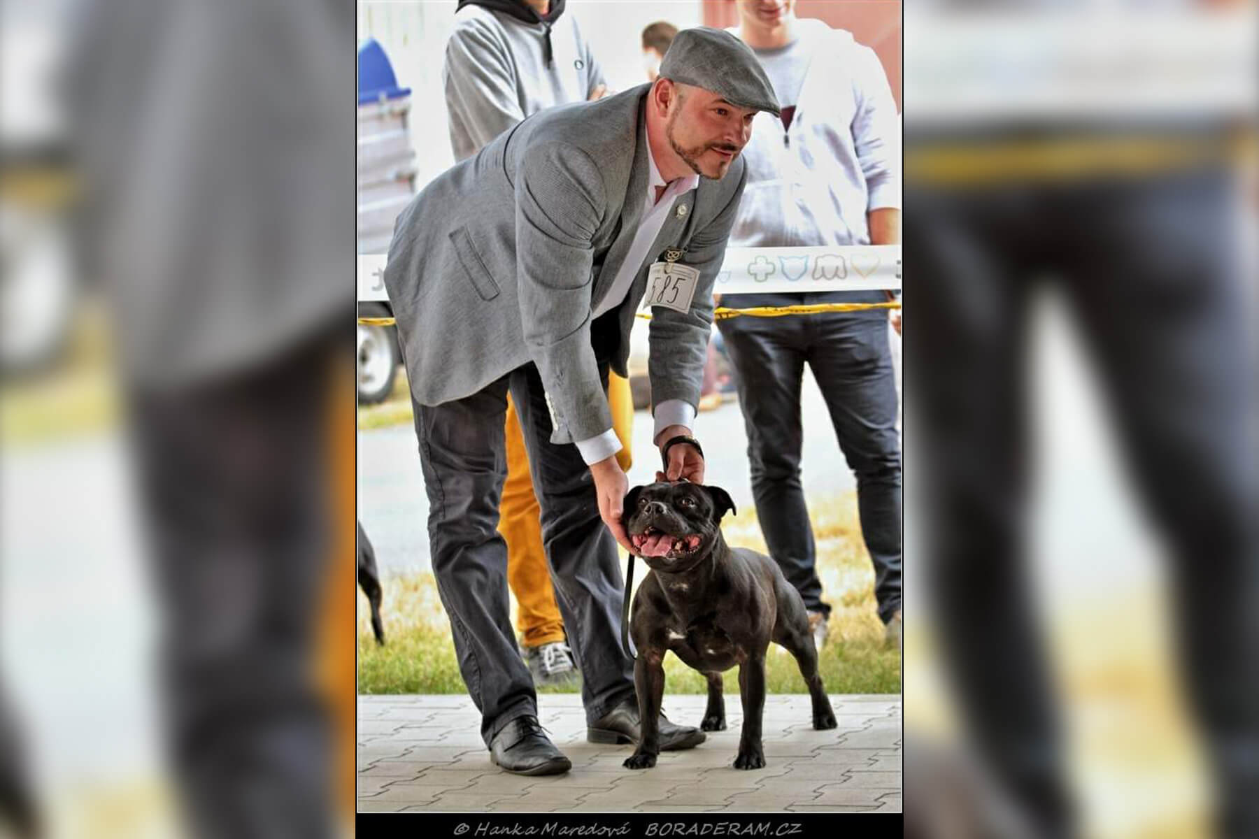 Shrnutí výstavní sezóny Domidar Dogs 2019