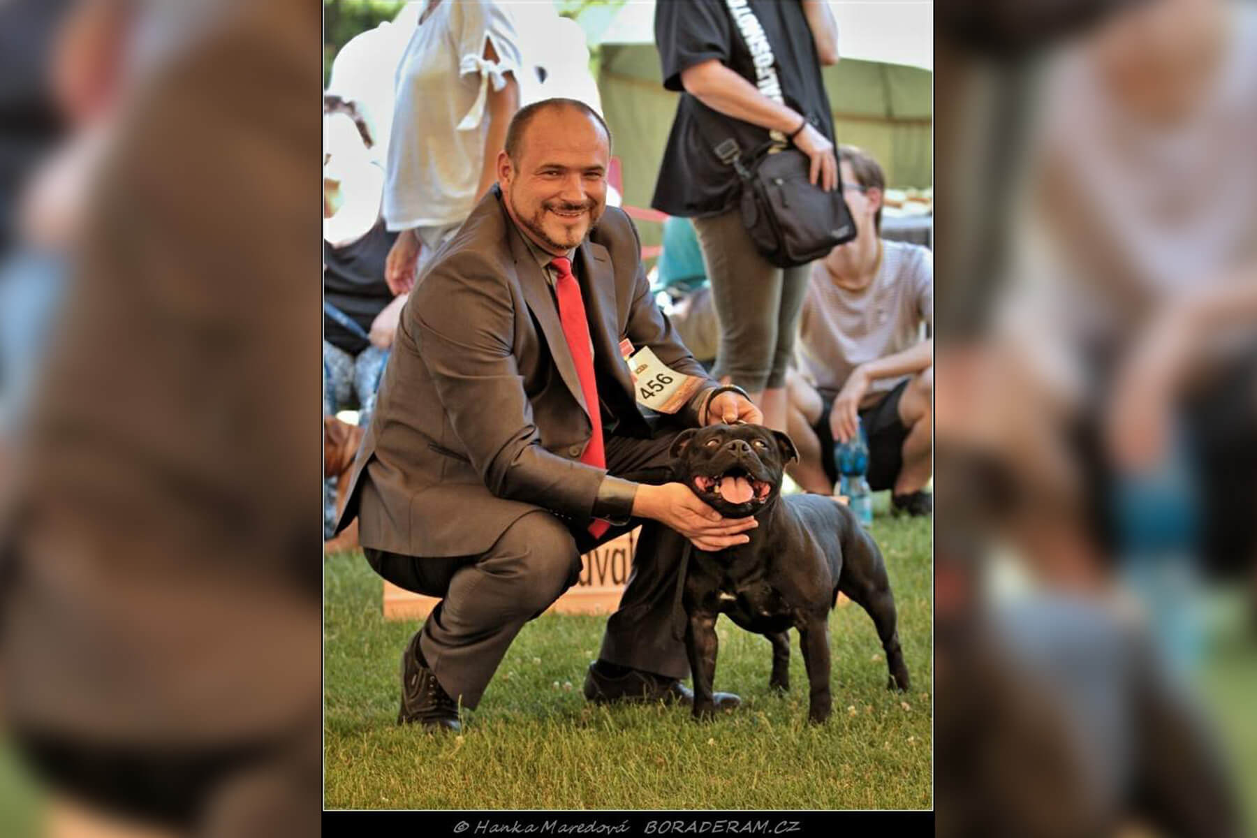 Shrnutí výstavní sezóny Domidar Dogs 2019