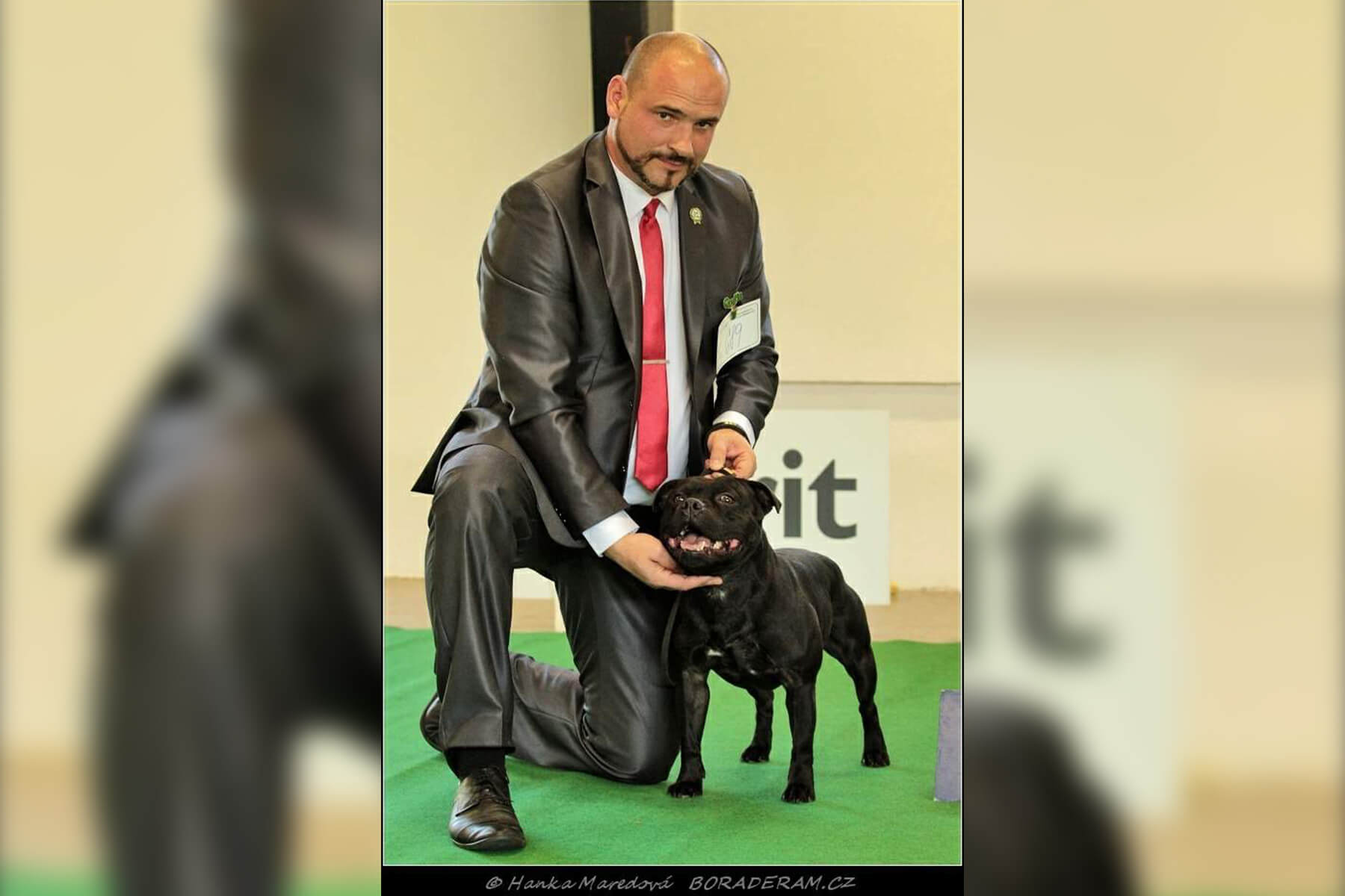 Shrnutí výstavní sezóny Domidar Dogs 2019