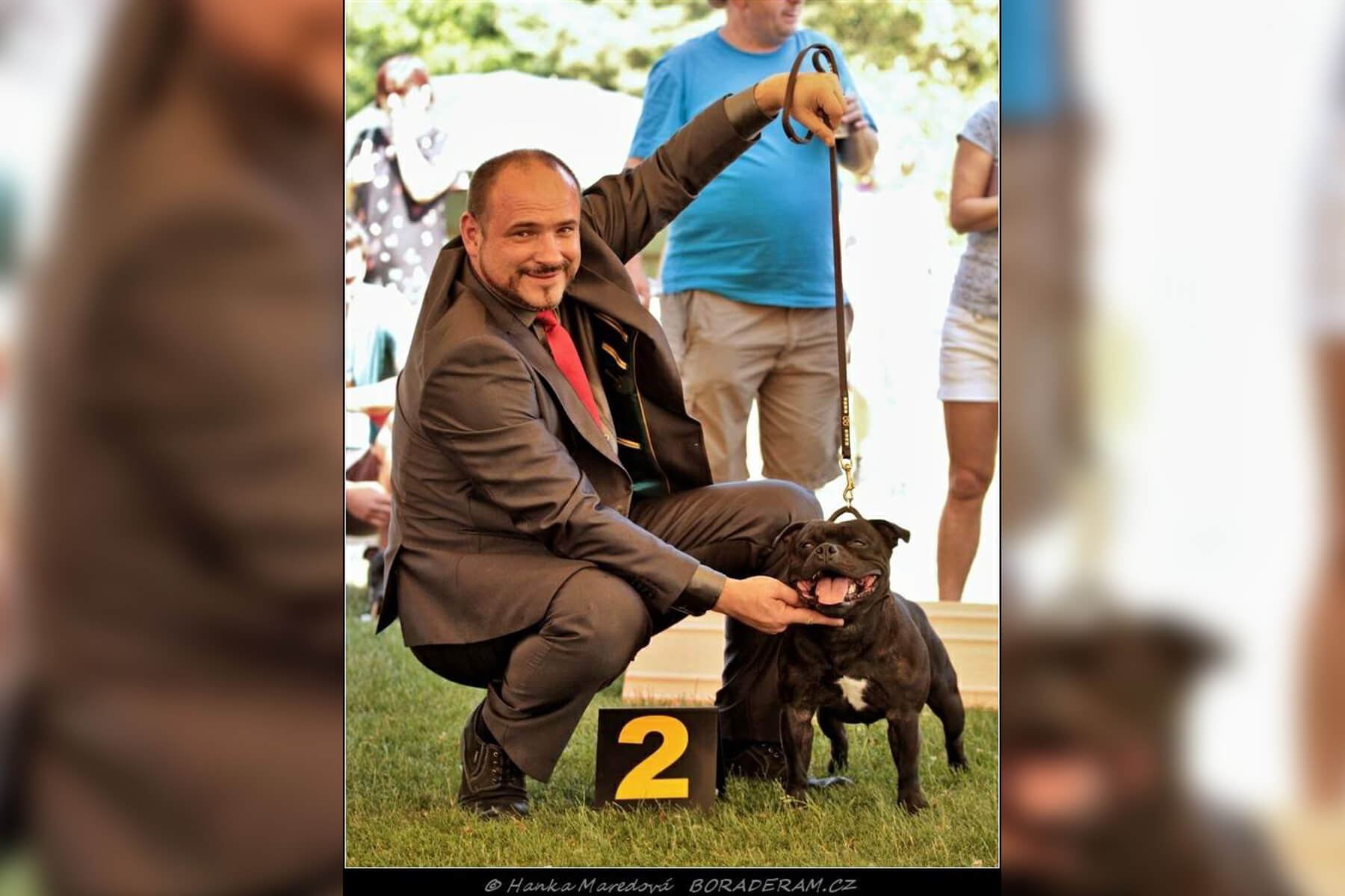Shrnutí výstavní sezóny Domidar Dogs 2019