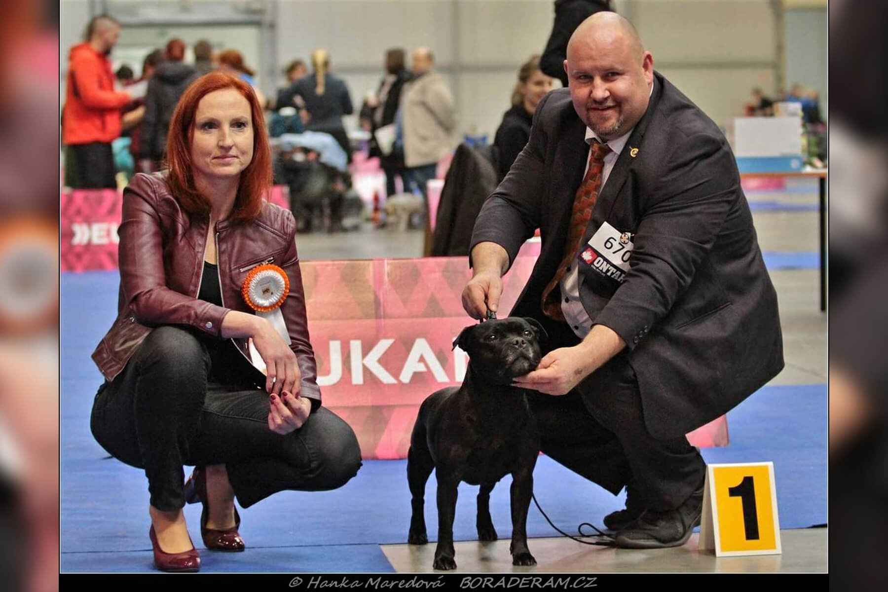 Shrnutí výstavní sezóny Domidar Dogs 2019