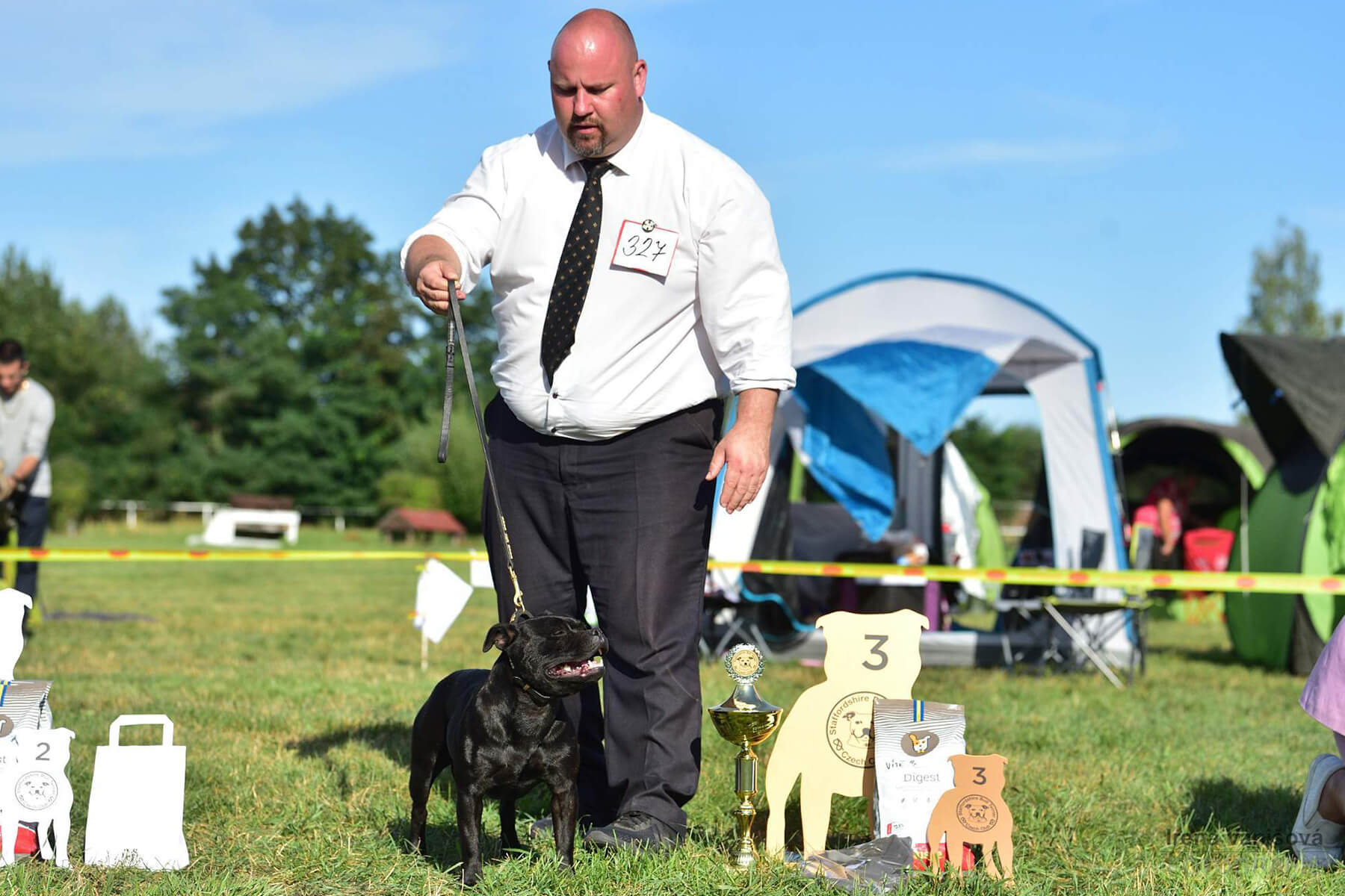 Shrnutí výstavní sezóny Domidar Dogs 2019