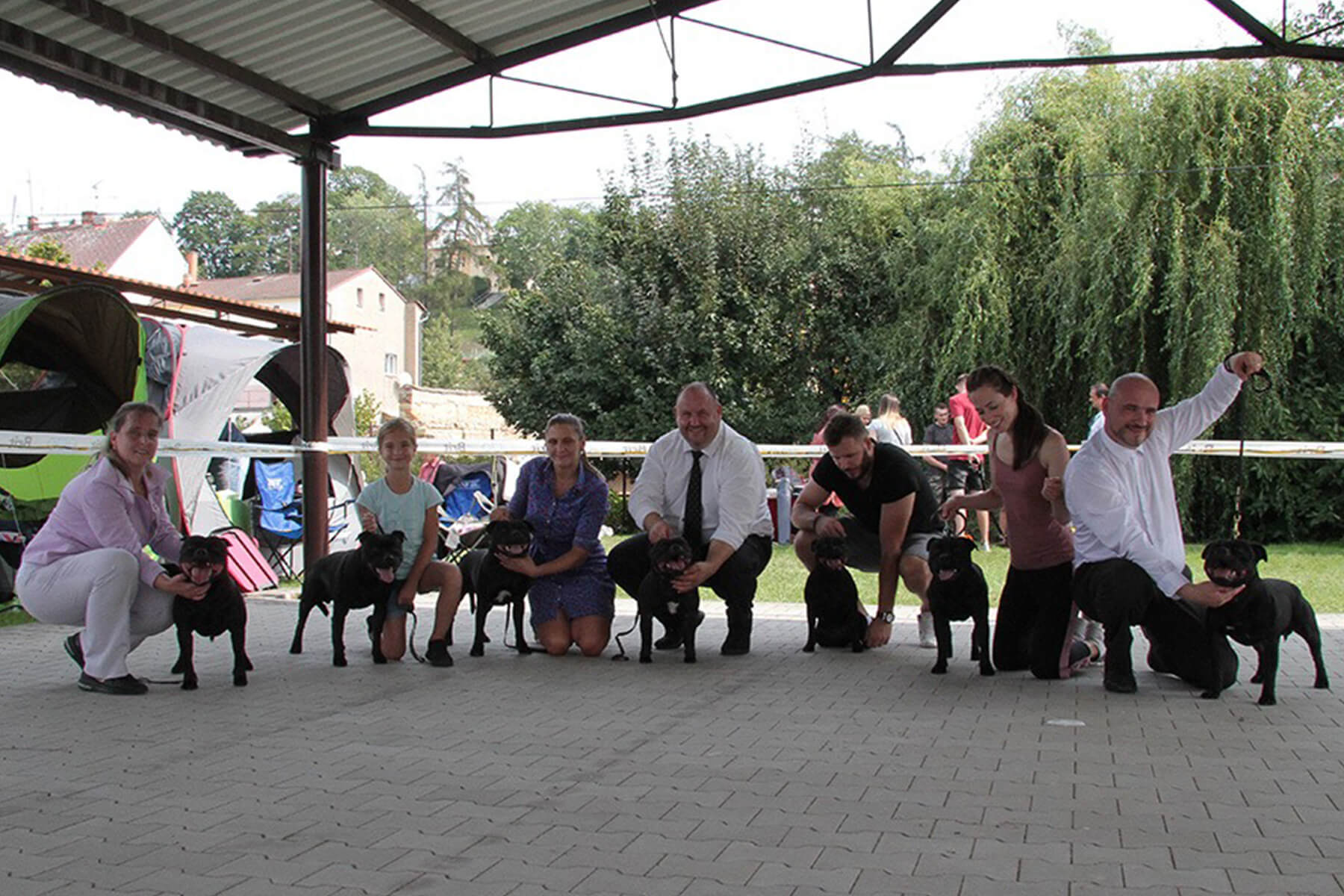 Shrnutí výstavní sezóny Domidar Dogs 2019