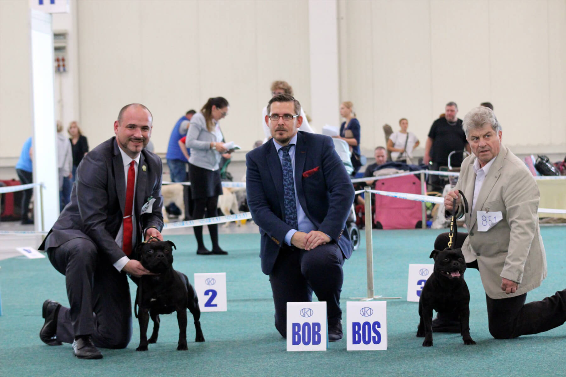 Shrnutí výstavní sezóny Domidar Dogs 2019