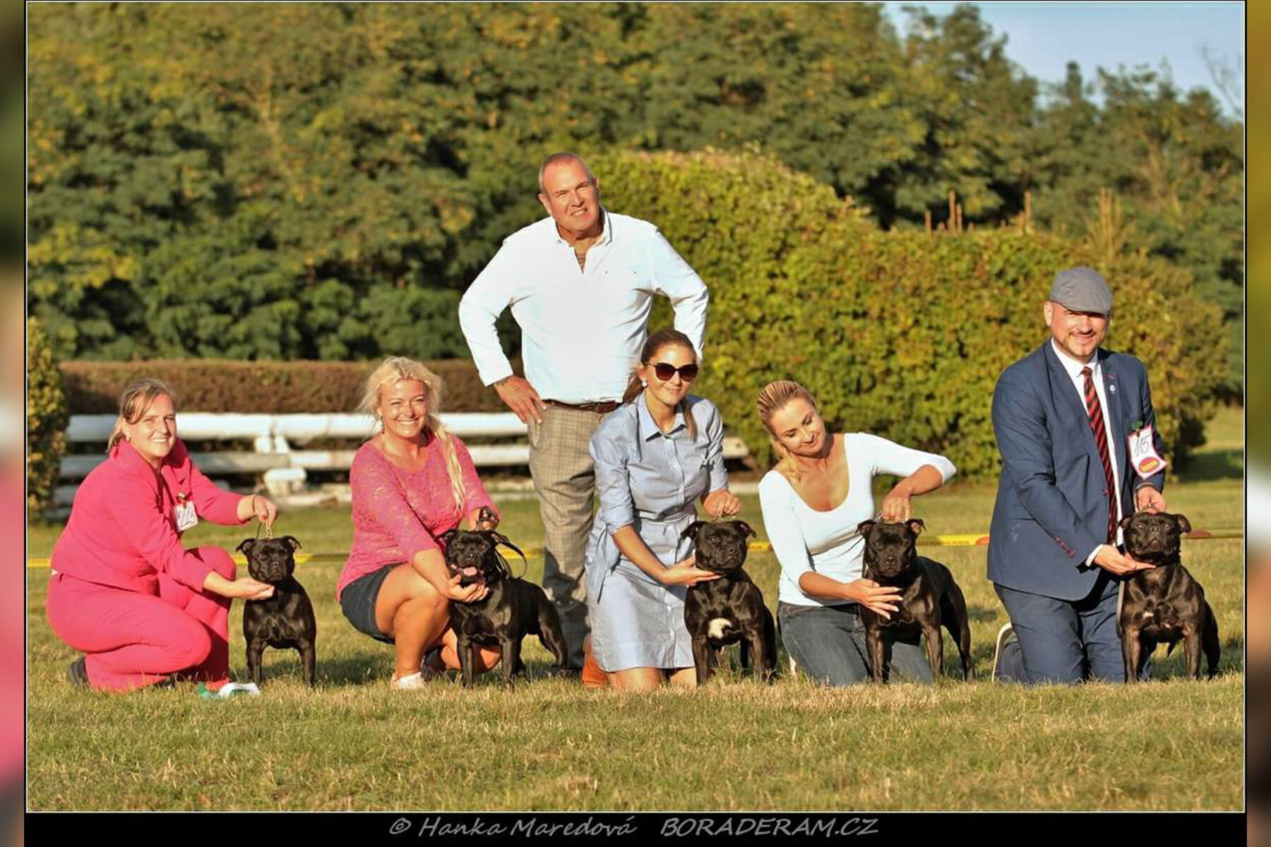 Shrnutí výstavní sezóny Domidar Dogs 2019