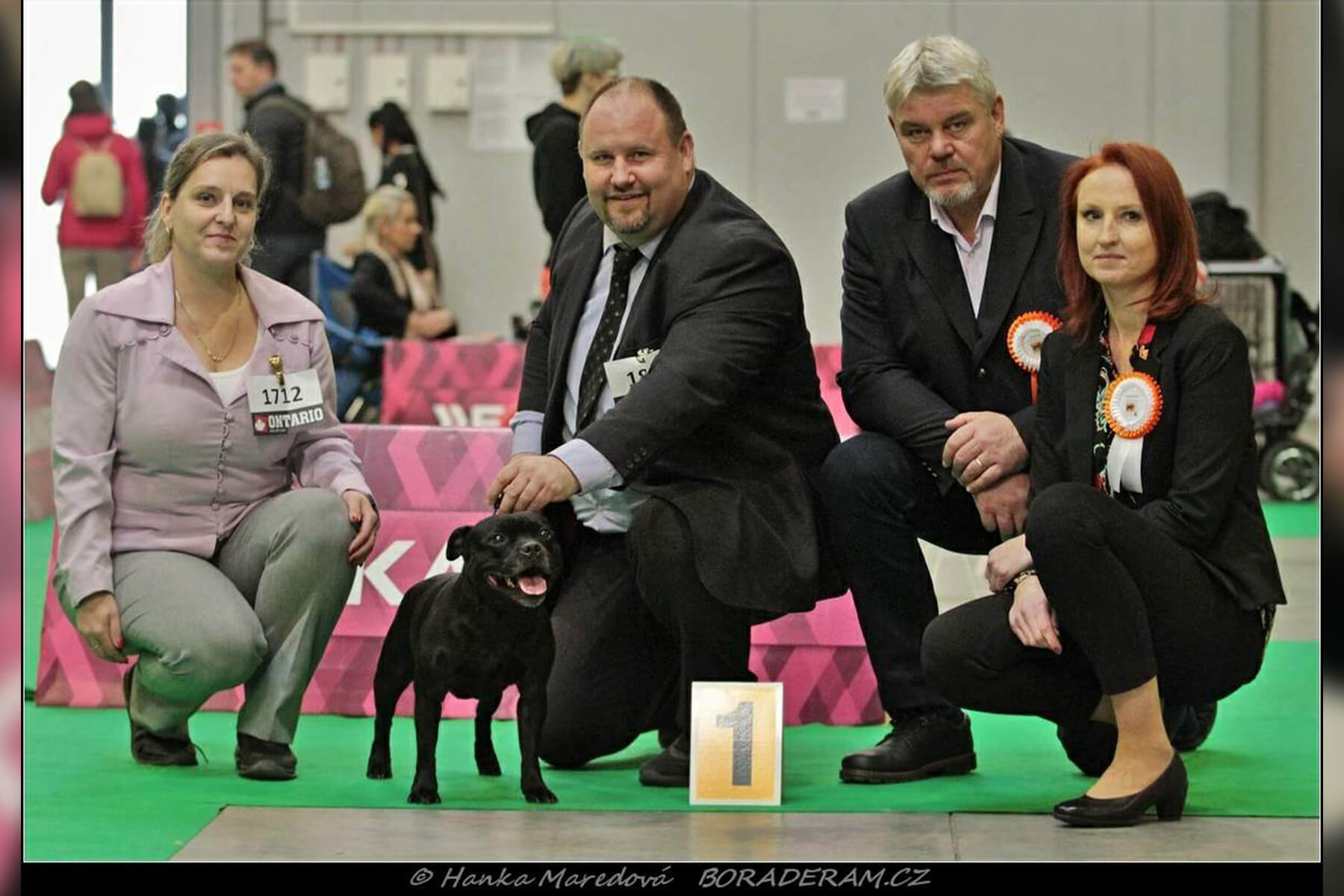 Shrnutí výstavní sezóny Domidar Dogs 2019