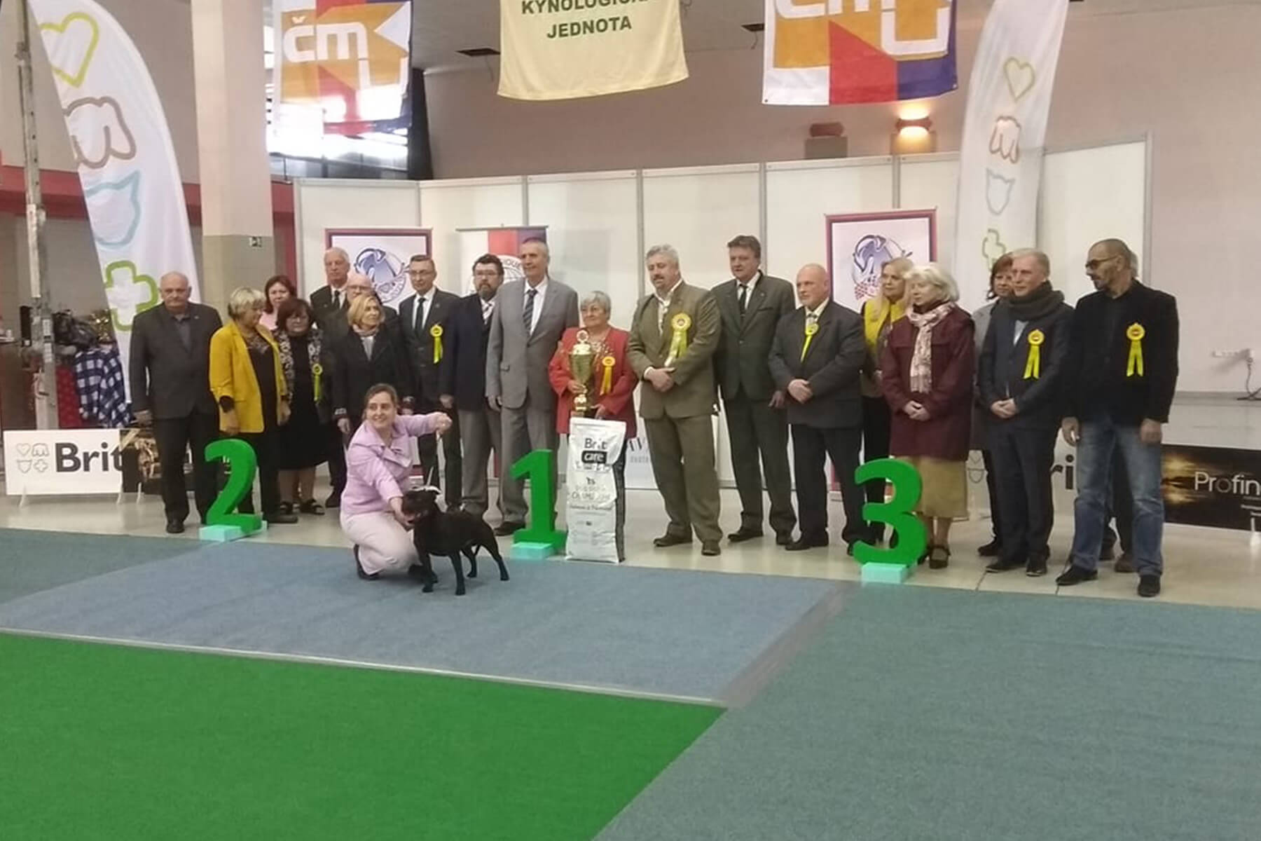 Shrnutí výstavní sezóny Domidar Dogs 2019