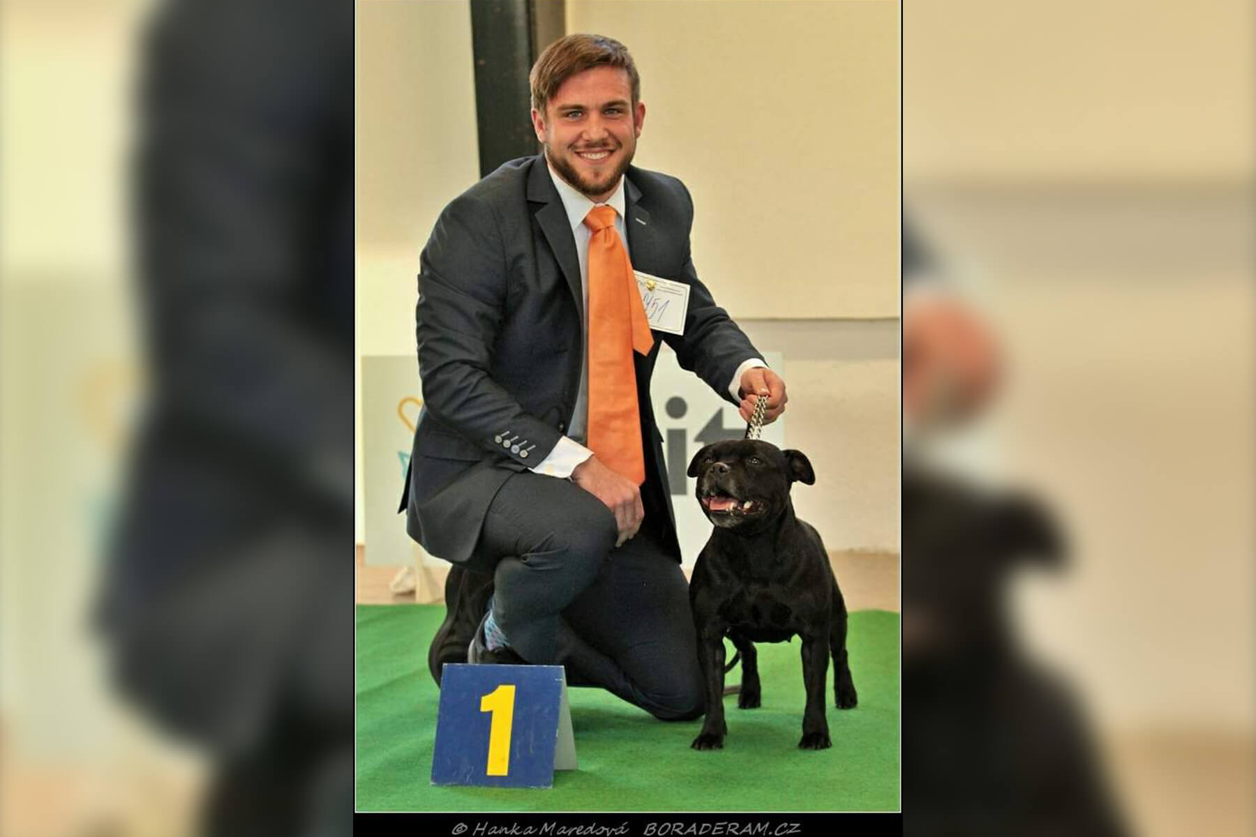 Shrnutí výstavní sezóny Domidar Dogs 2019