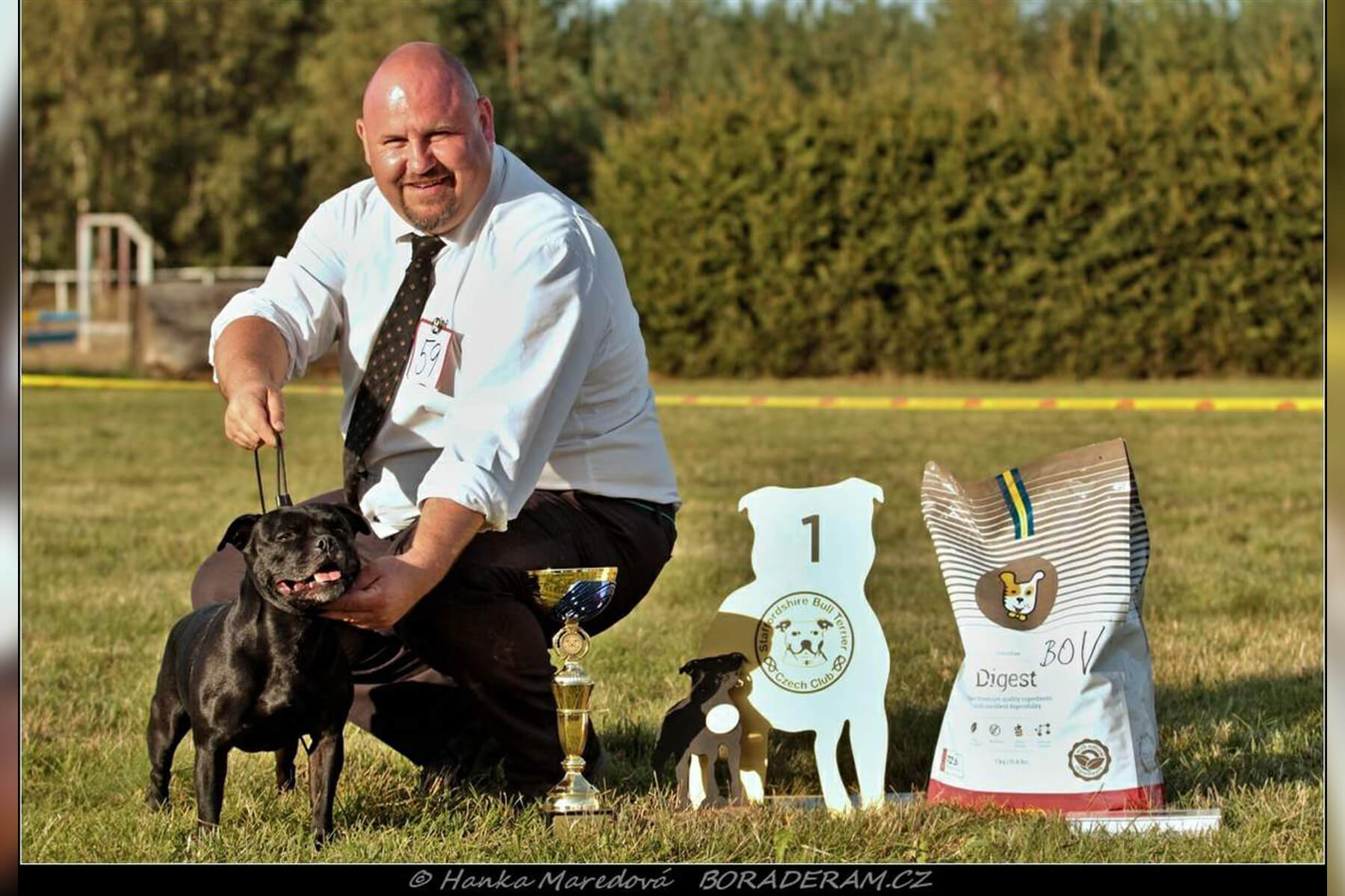 Shrnutí výstavní sezóny Domidar Dogs 2019