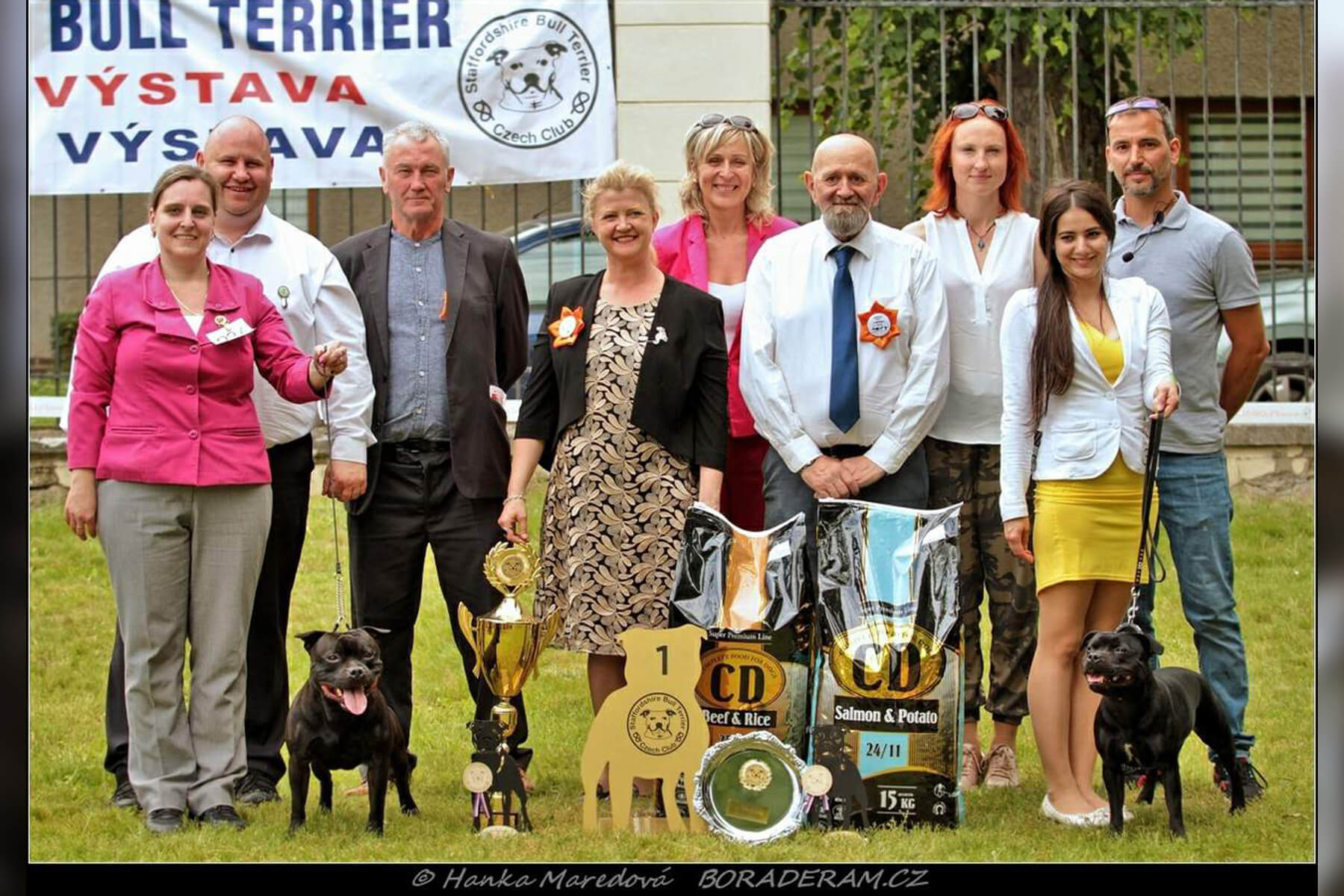 Shrnutí výstavní sezóny Domidar Dogs 2019