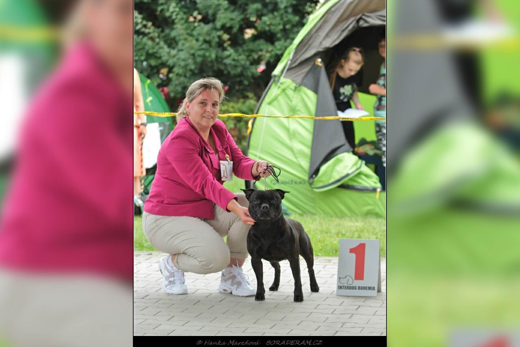 Shrnutí výstavní sezóny Domidar Dogs 2020