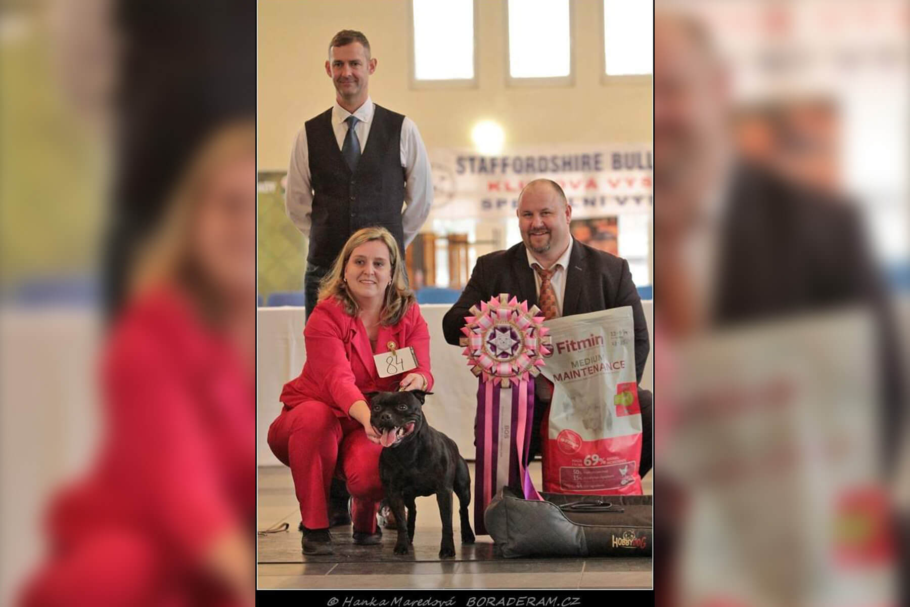 Shrnutí výstavní sezóny Domidar Dogs 2020