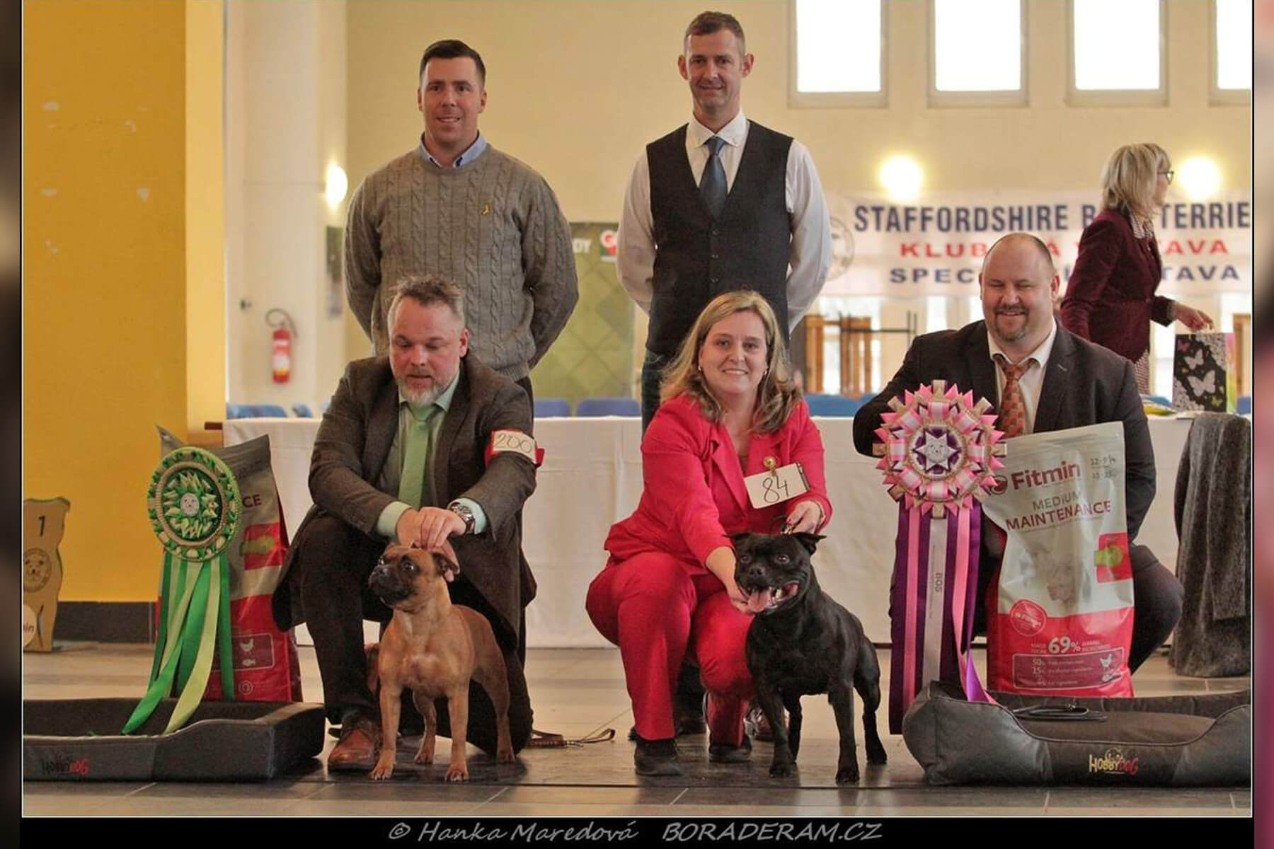 Shrnutí výstavní sezóny Domidar Dogs 2020