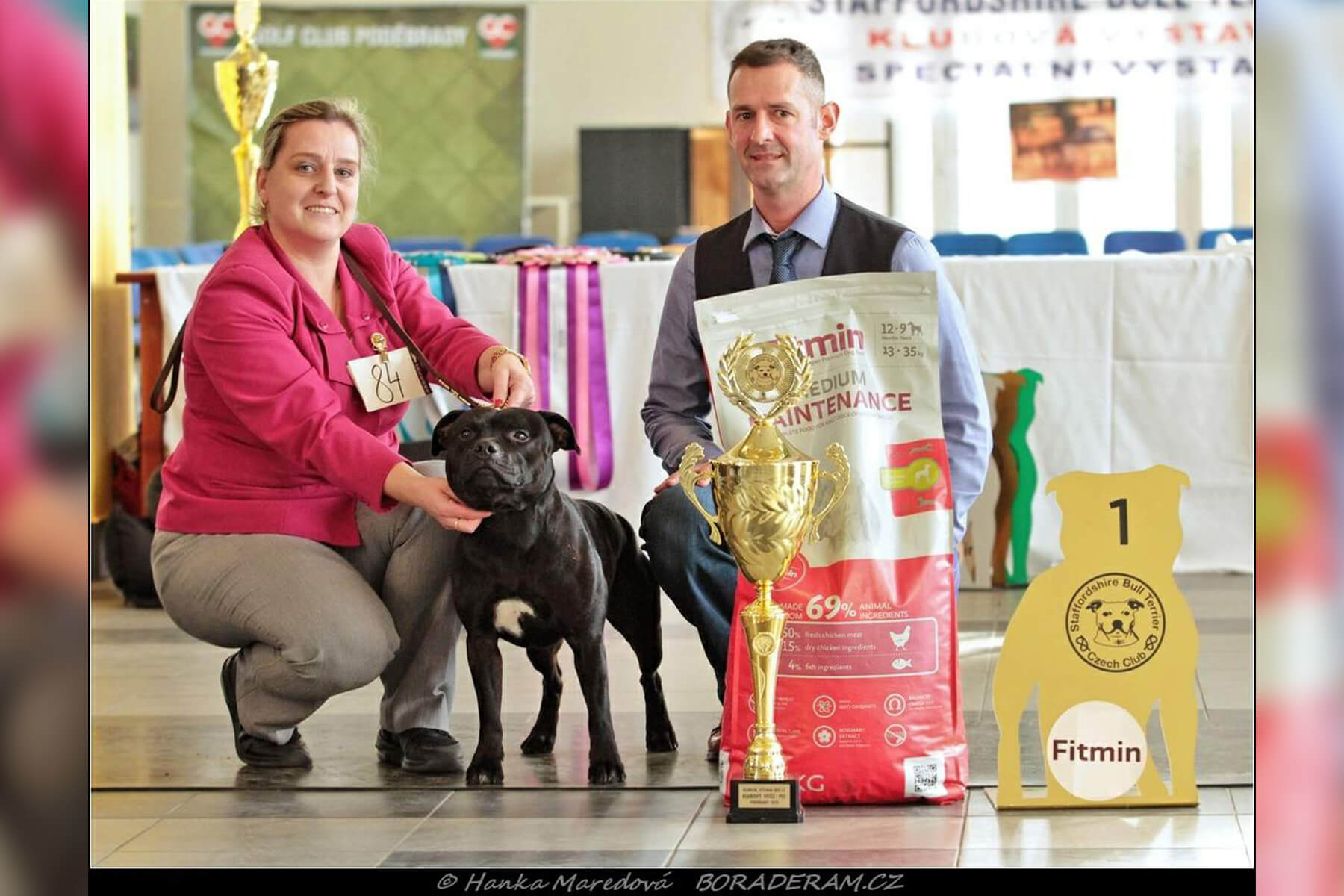 Shrnutí výstavní sezóny Domidar Dogs 2020