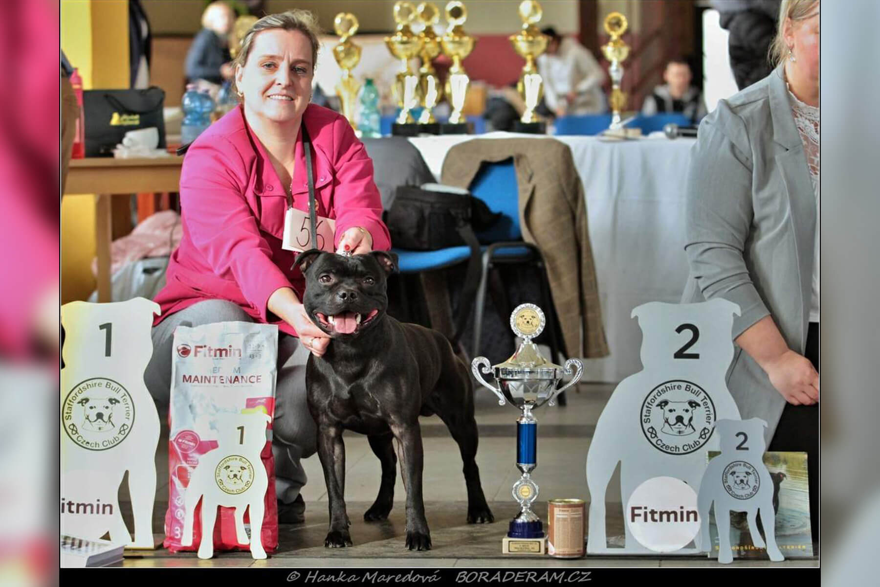 Shrnutí výstavní sezóny Domidar Dogs 2020