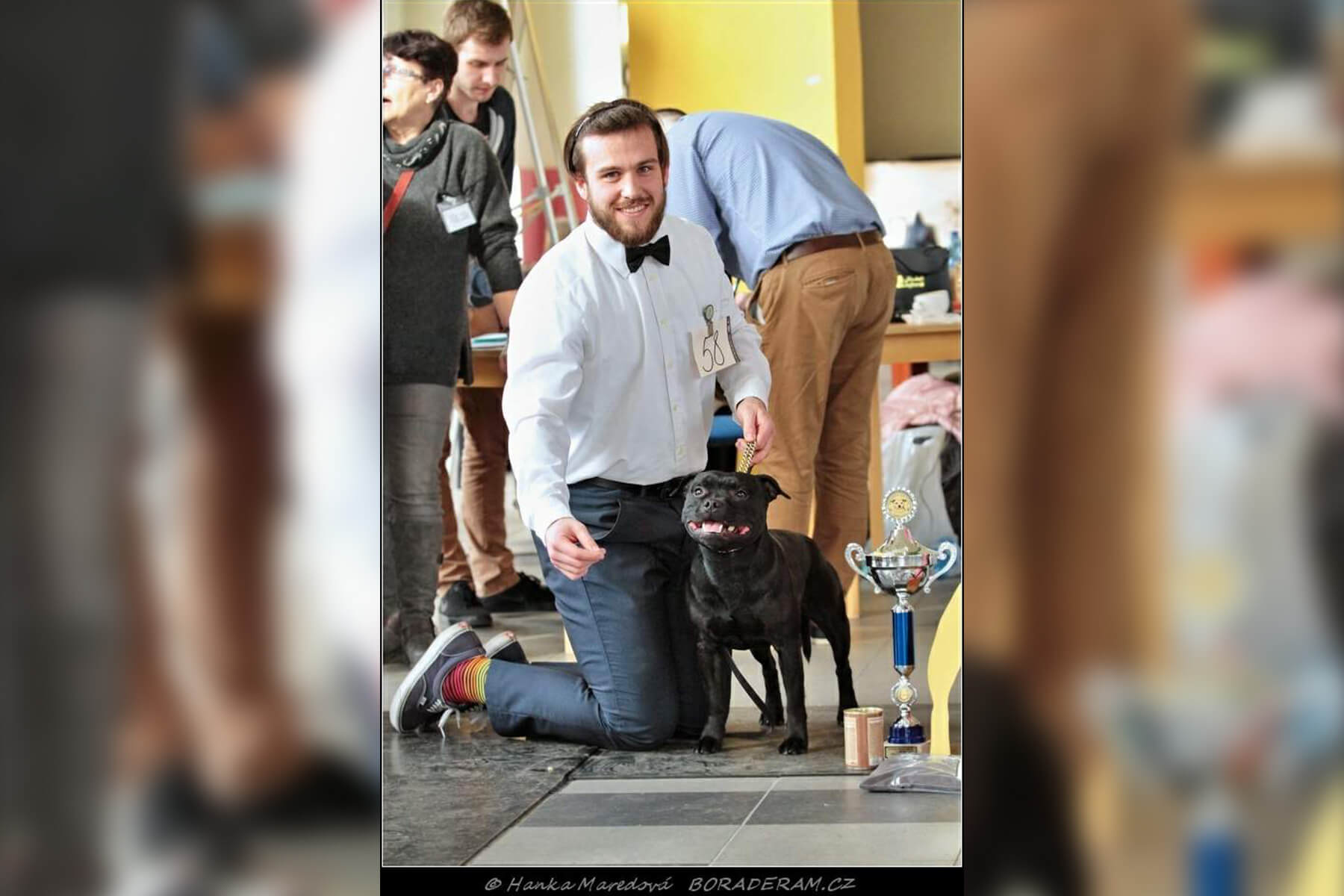 Shrnutí výstavní sezóny Domidar Dogs 2020