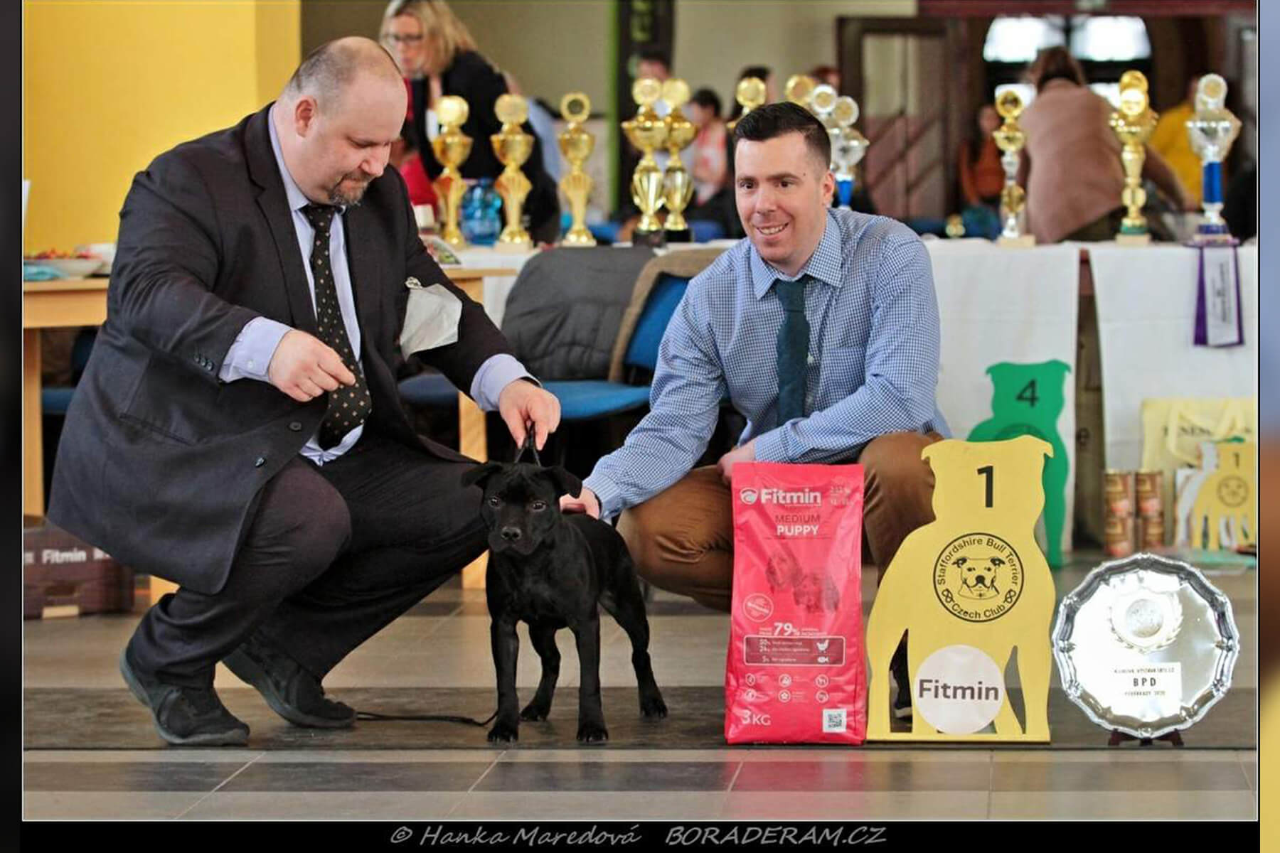 Shrnutí výstavní sezóny Domidar Dogs 2020