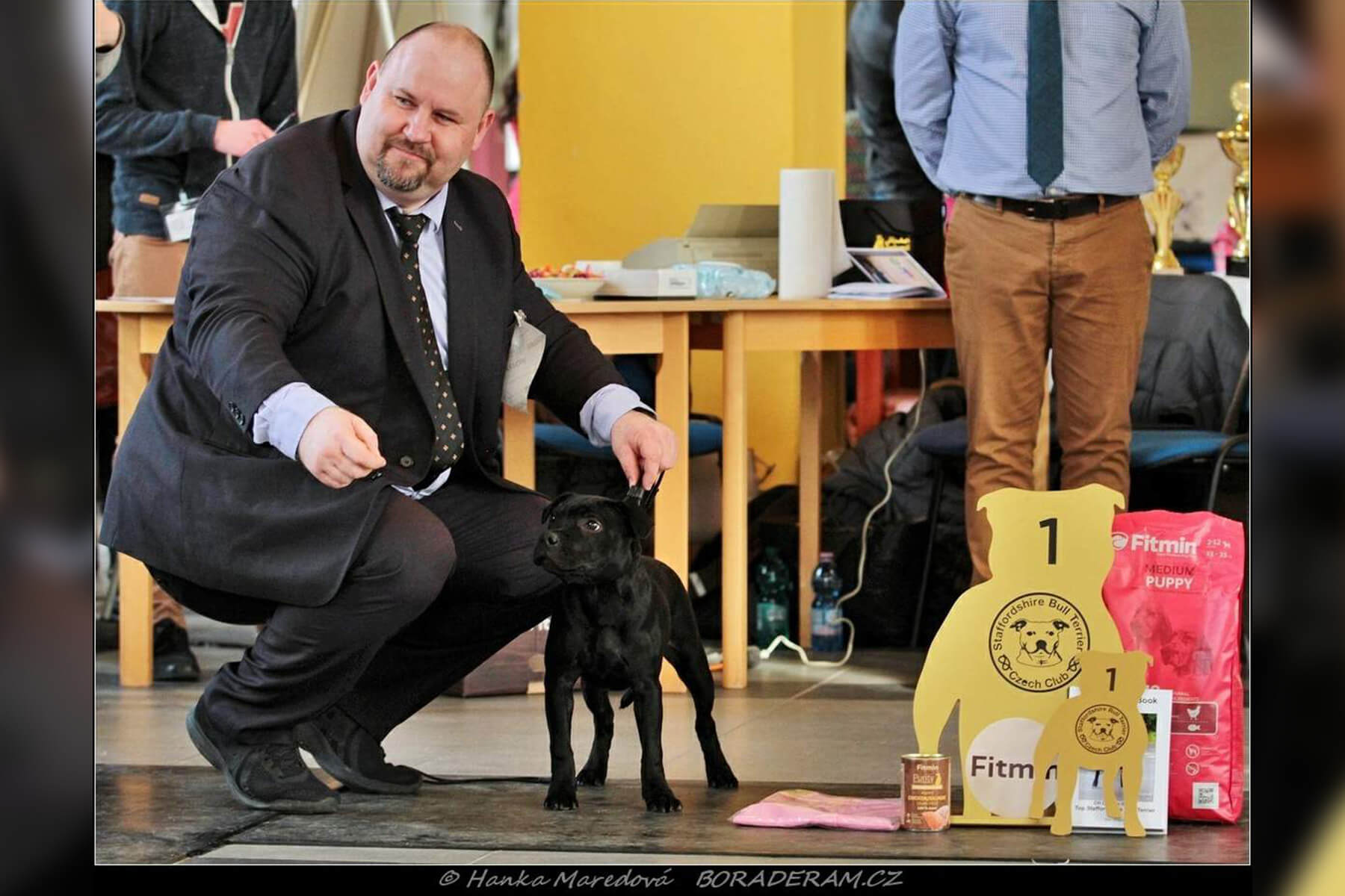 Shrnutí výstavní sezóny Domidar Dogs 2020