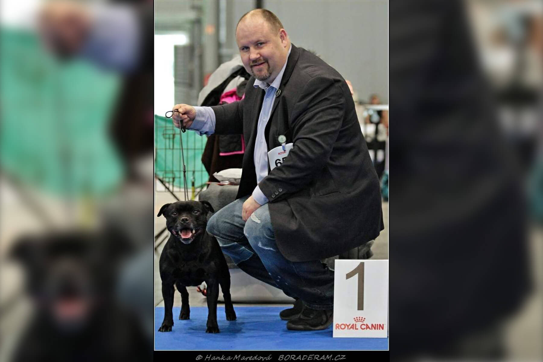 Shrnutí výstavní sezóny Domidar Dogs 2020