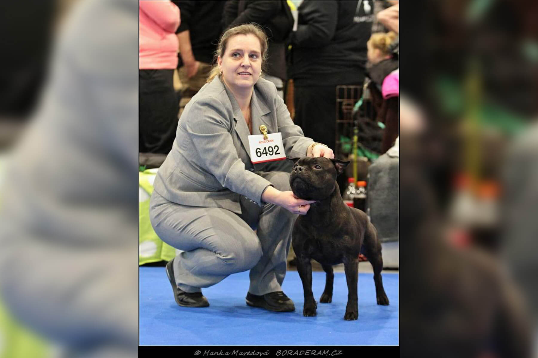 Shrnutí výstavní sezóny Domidar Dogs 2020