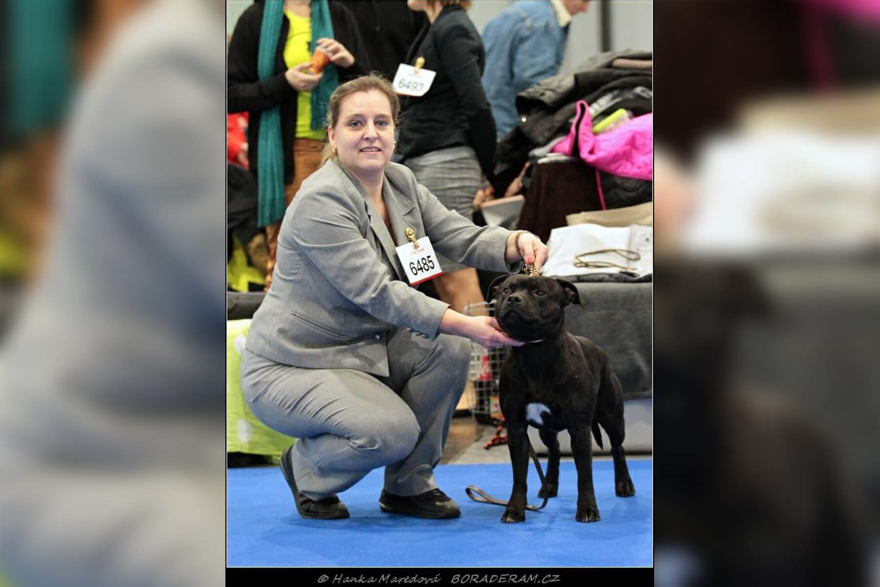 Shrnutí výstavní sezóny Domidar Dogs 2020