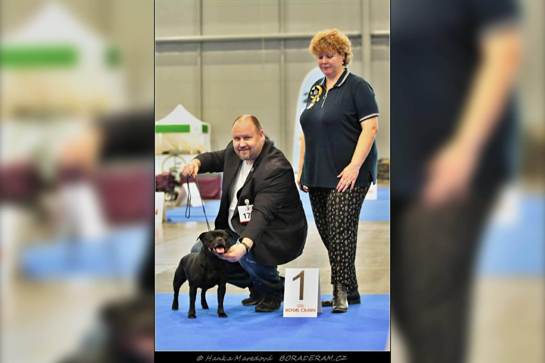 Shrnutí výstavní sezóny Domidar Dogs 2020