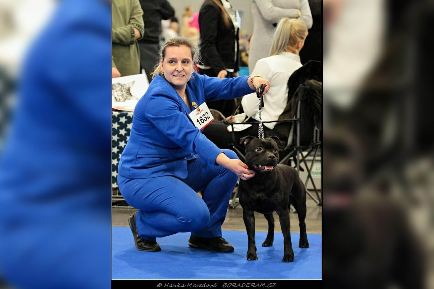 Shrnutí výstavní sezóny Domidar Dogs 2020