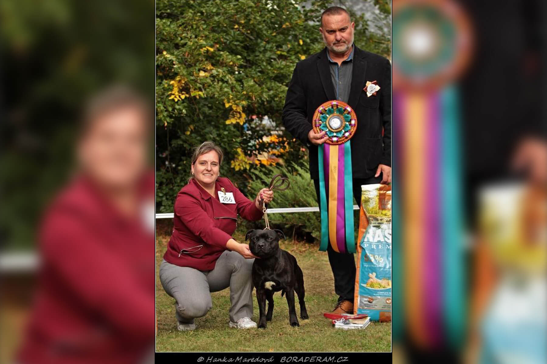 Shrnutí výstavní sezóny Domidar Dogs 2020