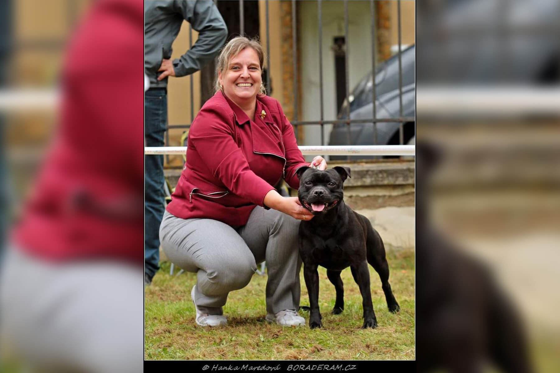 Shrnutí výstavní sezóny Domidar Dogs 2020