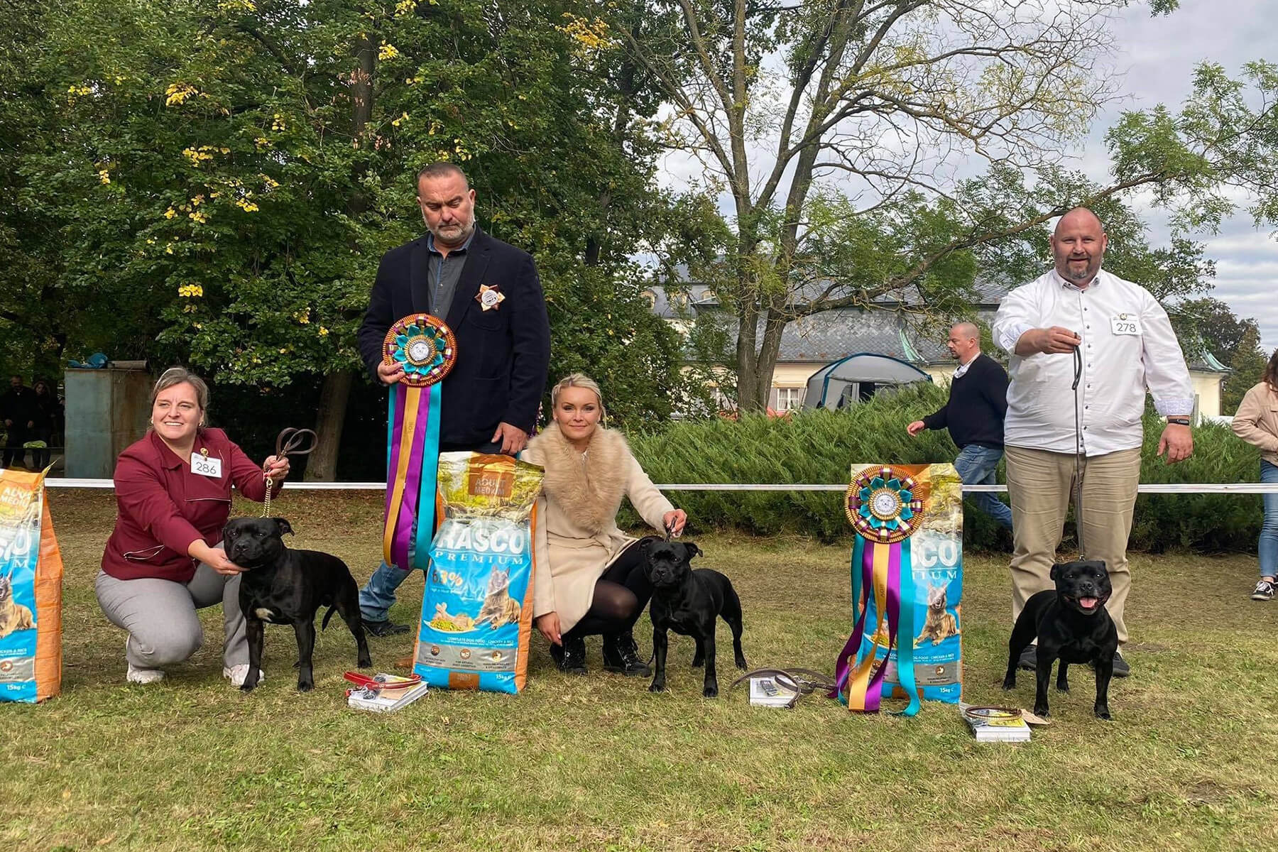 Shrnutí výstavní sezóny Domidar Dogs 2020