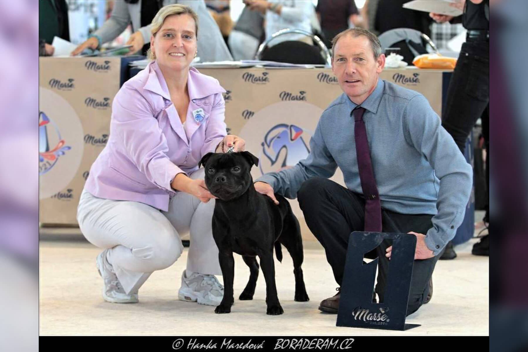 2021 Summary - DOMIDAR DOGS Kennel