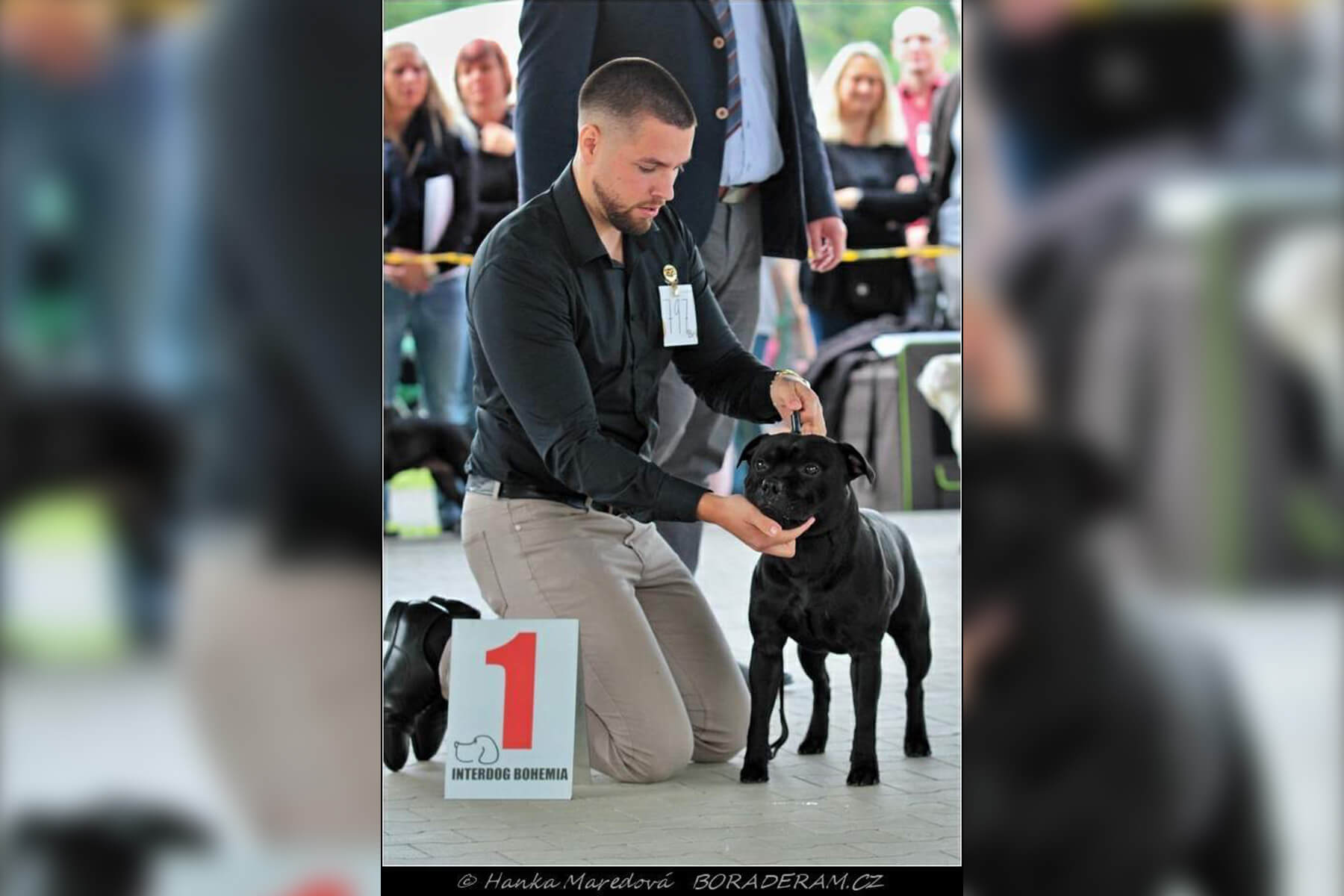 2021 Summary - DOMIDAR DOGS Kennel