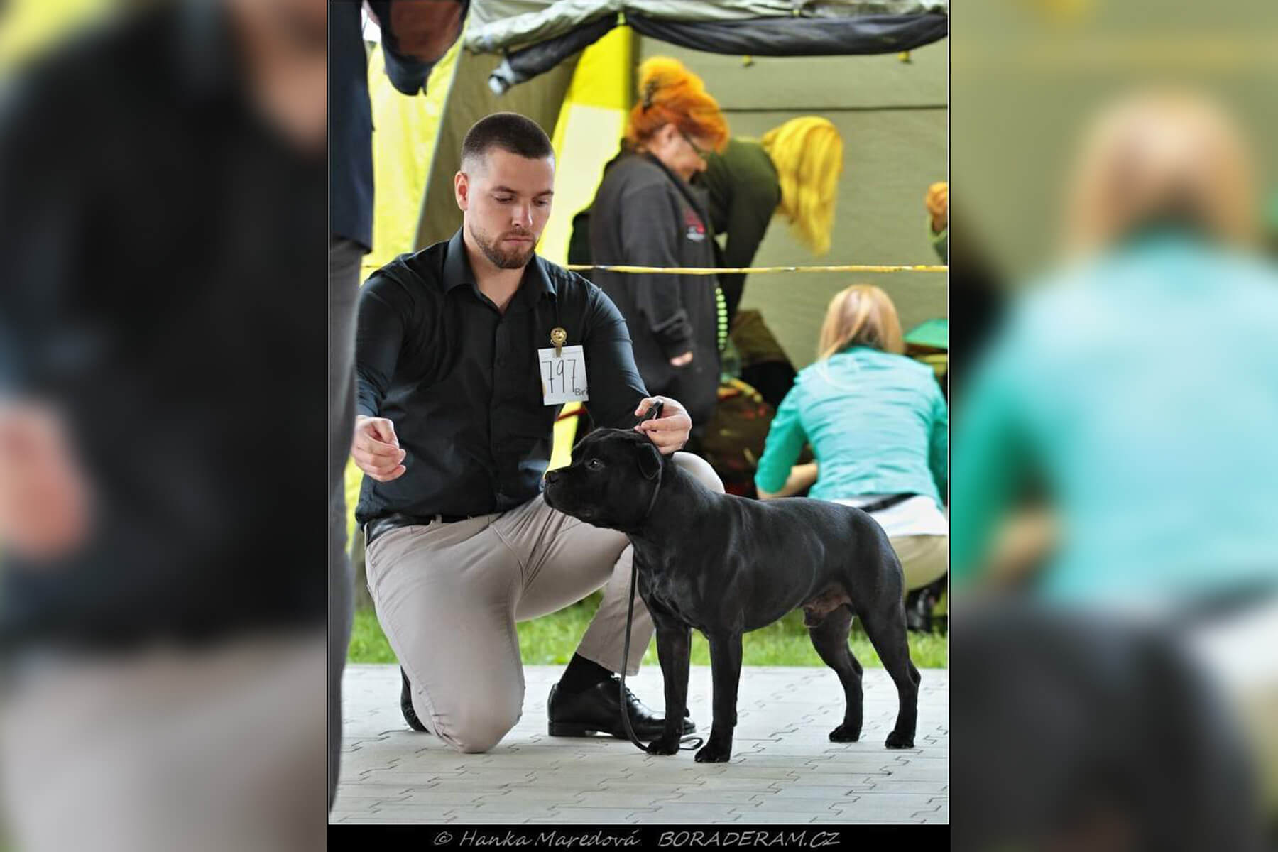 2021 Summary - DOMIDAR DOGS Kennel