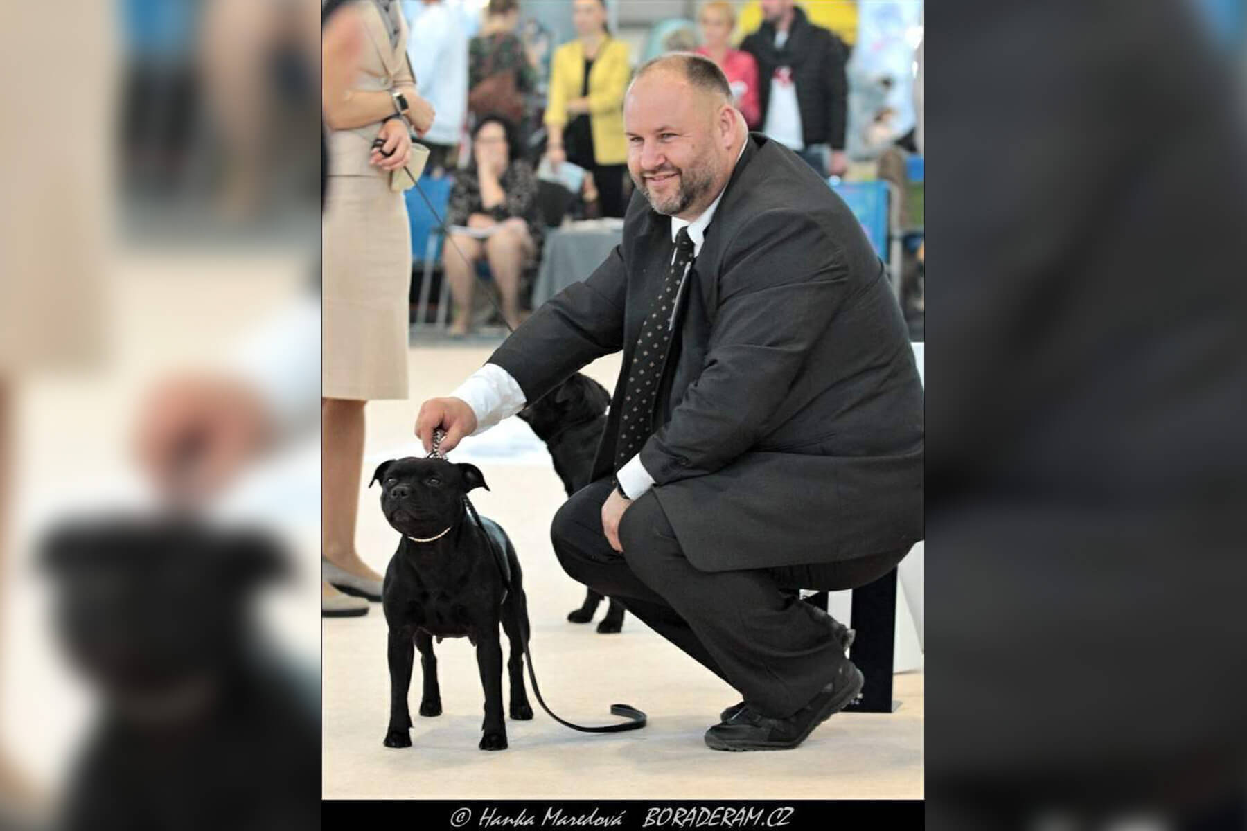 2021 Summary - DOMIDAR DOGS Kennel