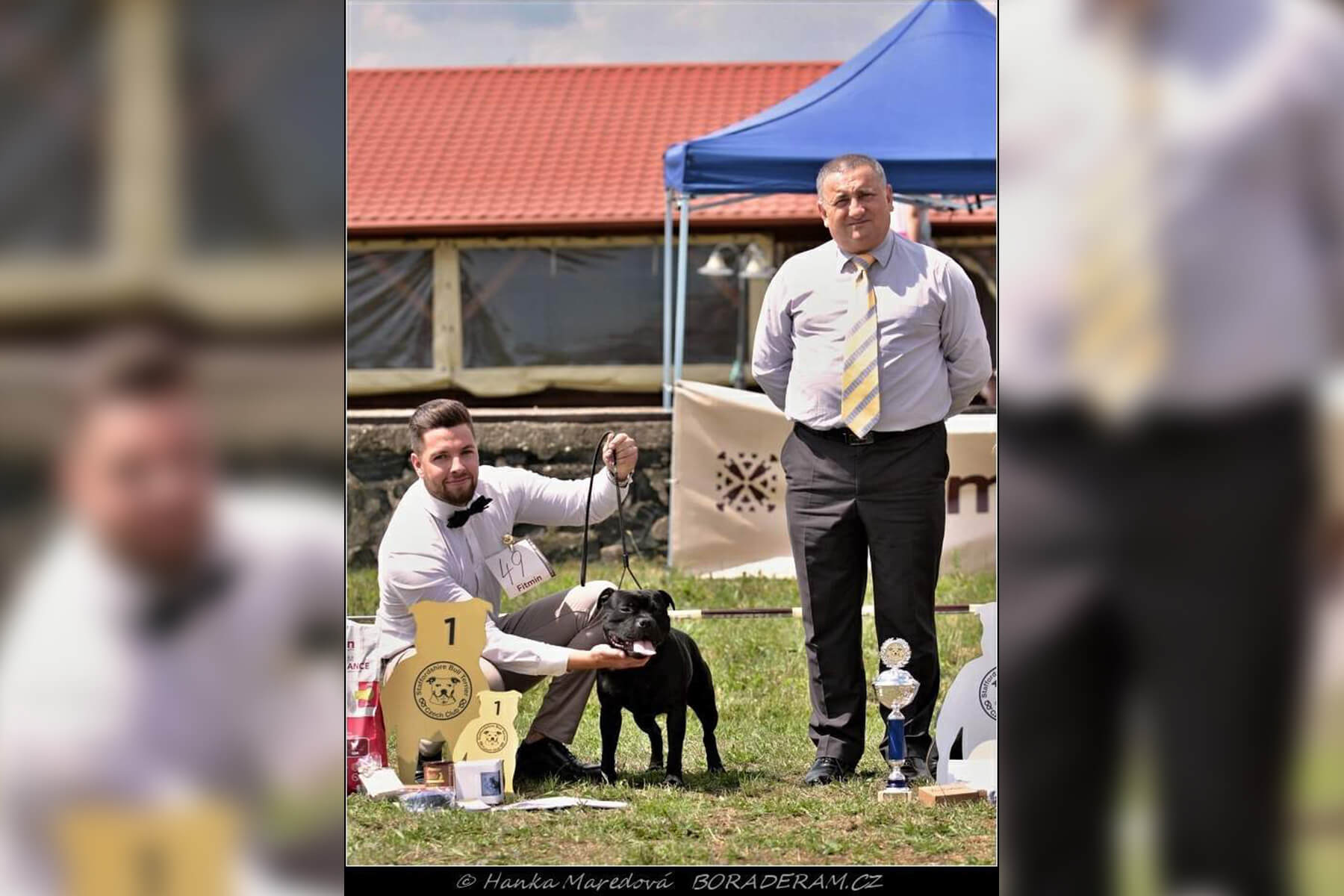 2021 Summary - DOMIDAR DOGS Kennel