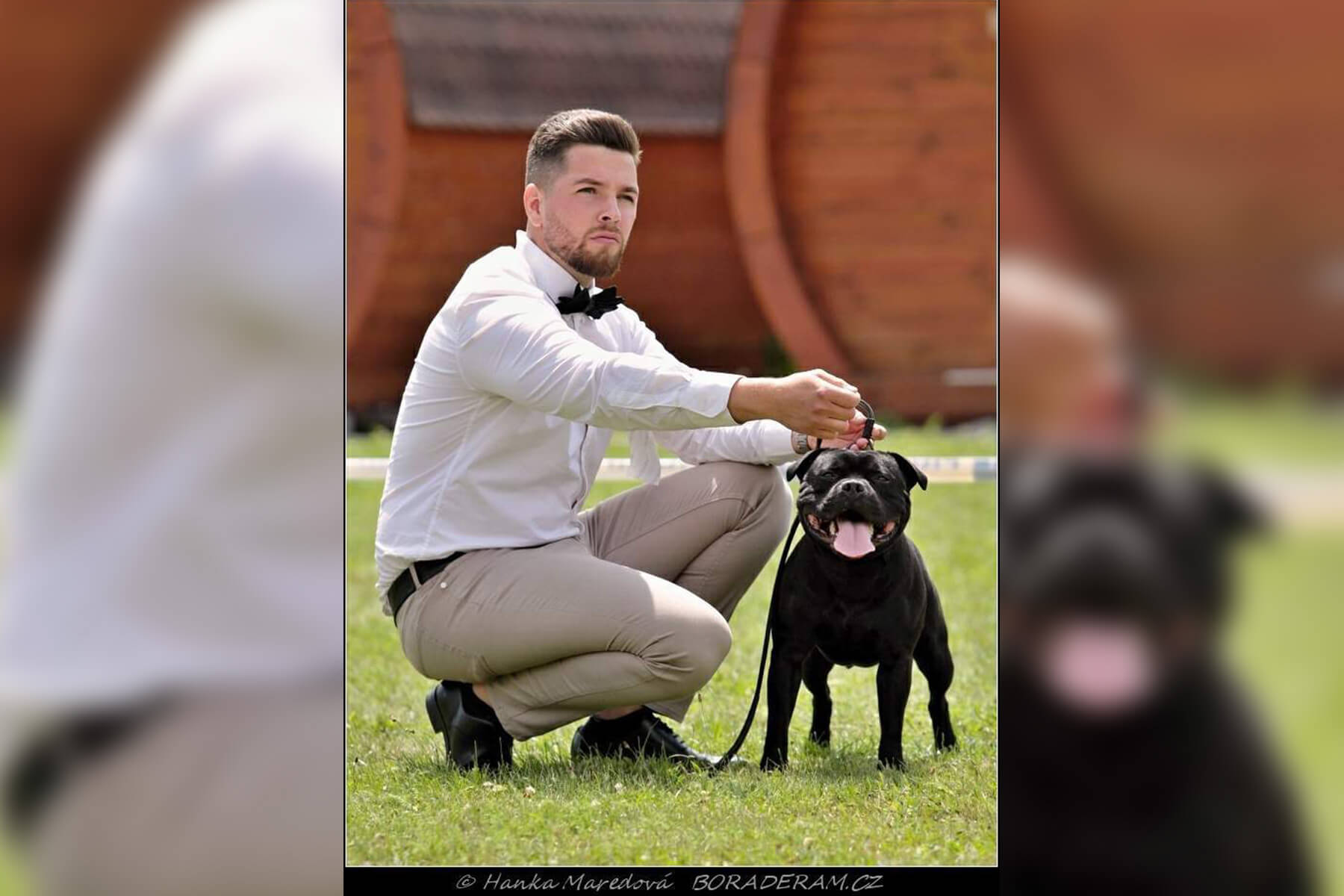 2021 Summary - DOMIDAR DOGS Kennel