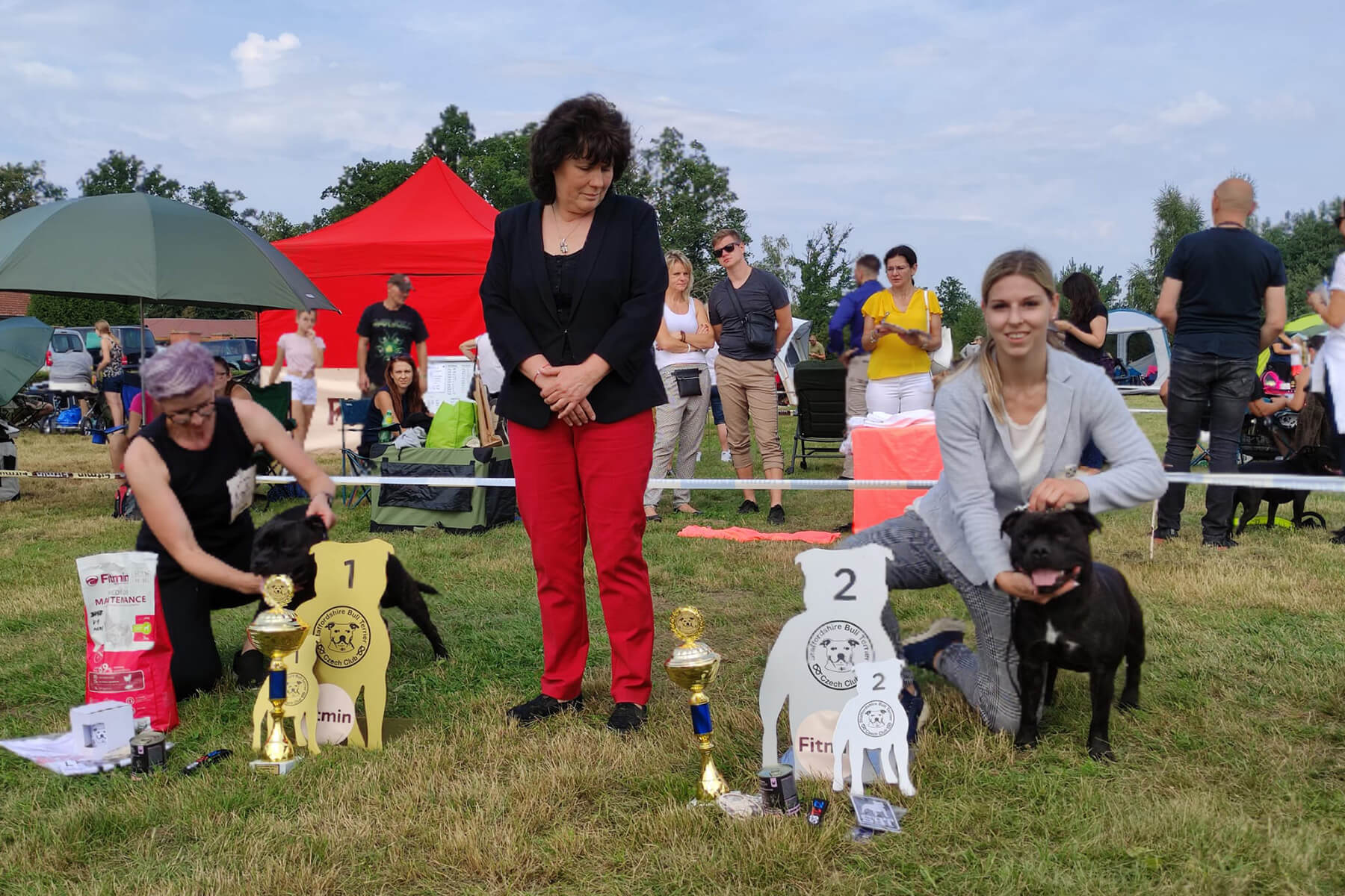 2021 Summary - DOMIDAR DOGS Kennel