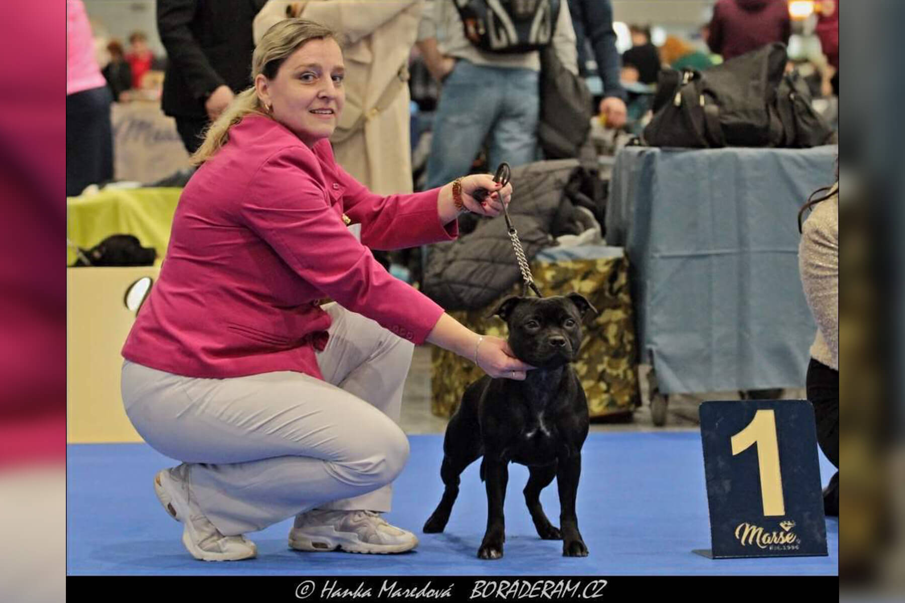 2022 Summary - DOMIDAR DOGS Kennel