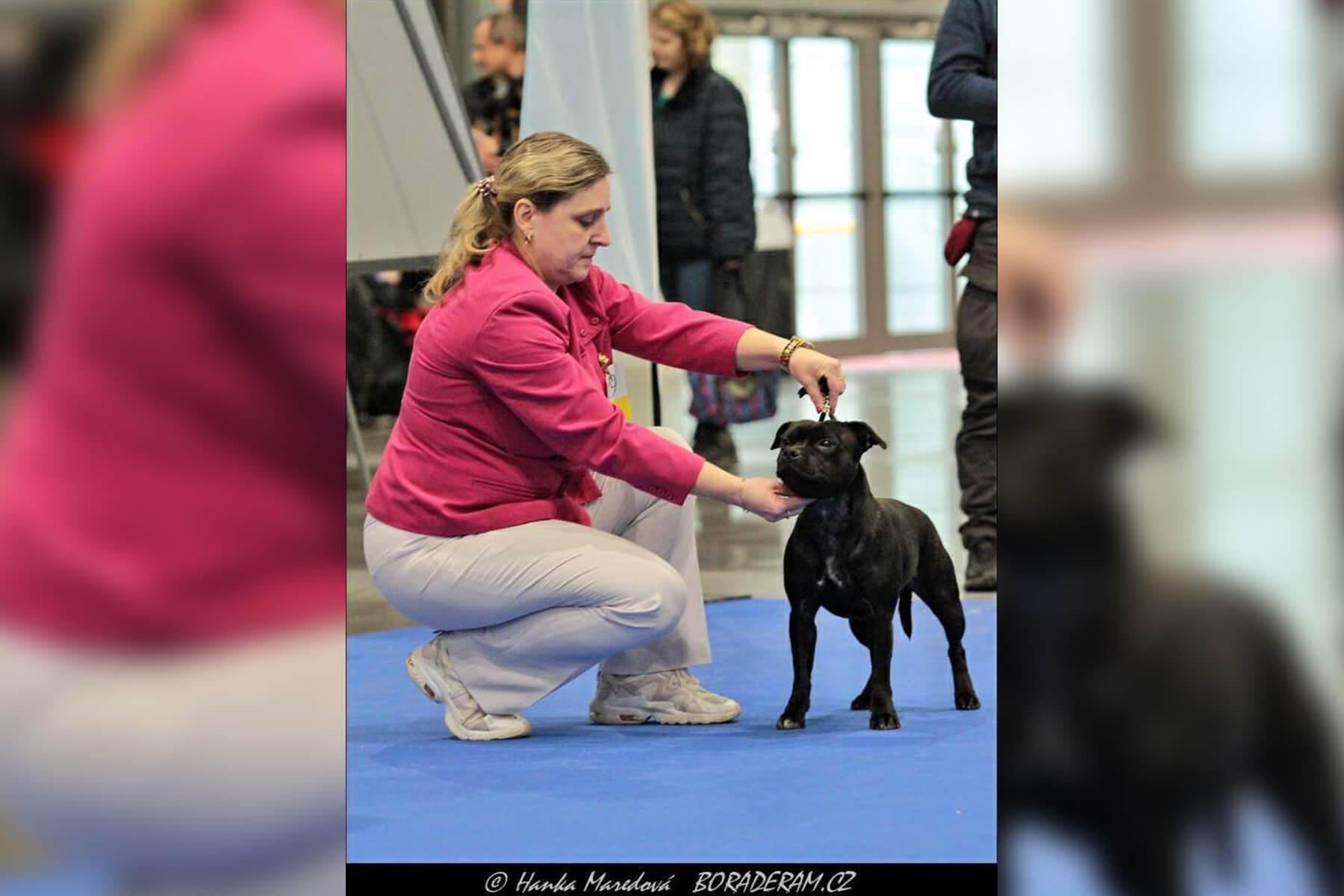 2022 Summary - DOMIDAR DOGS Kennel