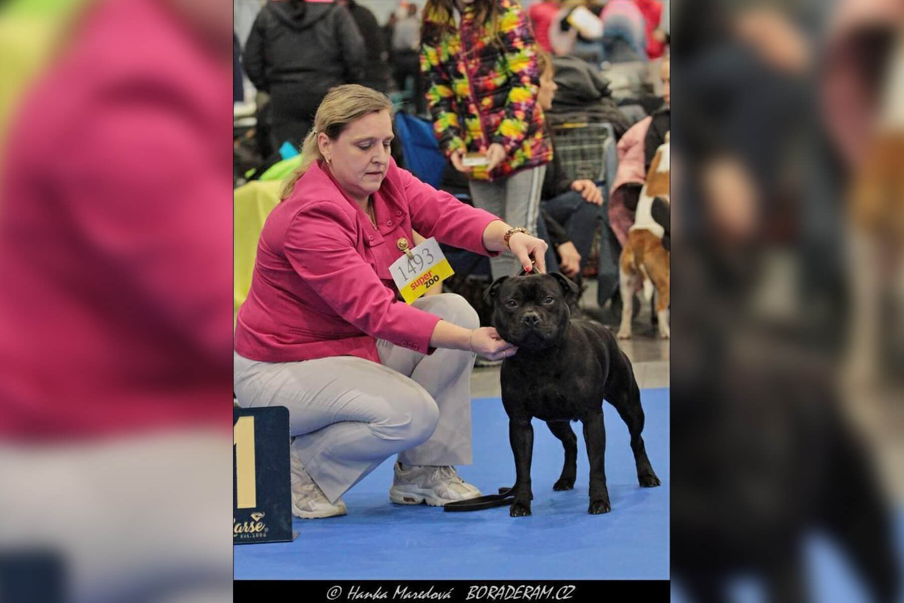 2022 Summary - DOMIDAR DOGS Kennel