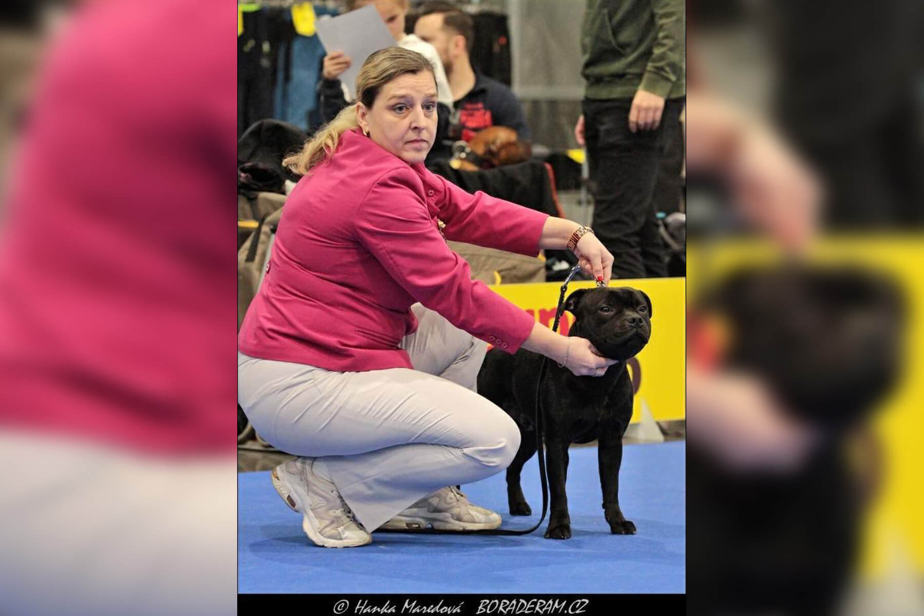 2022 Summary - DOMIDAR DOGS Kennel