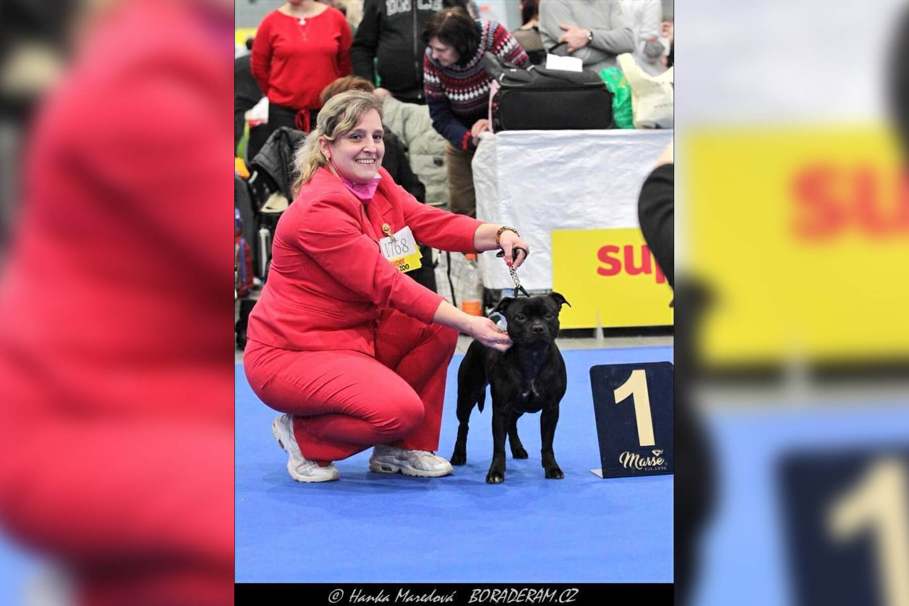 2022 Summary - DOMIDAR DOGS Kennel