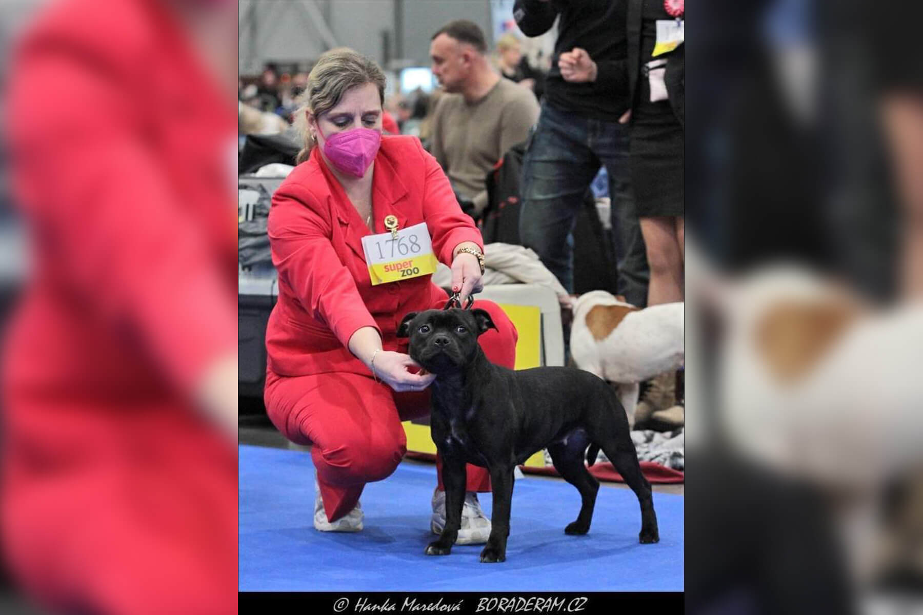 2022 Summary - DOMIDAR DOGS Kennel